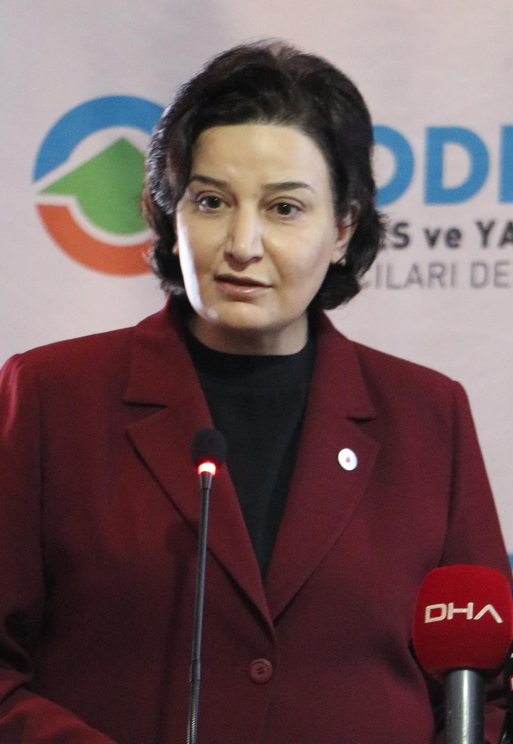 Vali Mustafa Çiftçi
