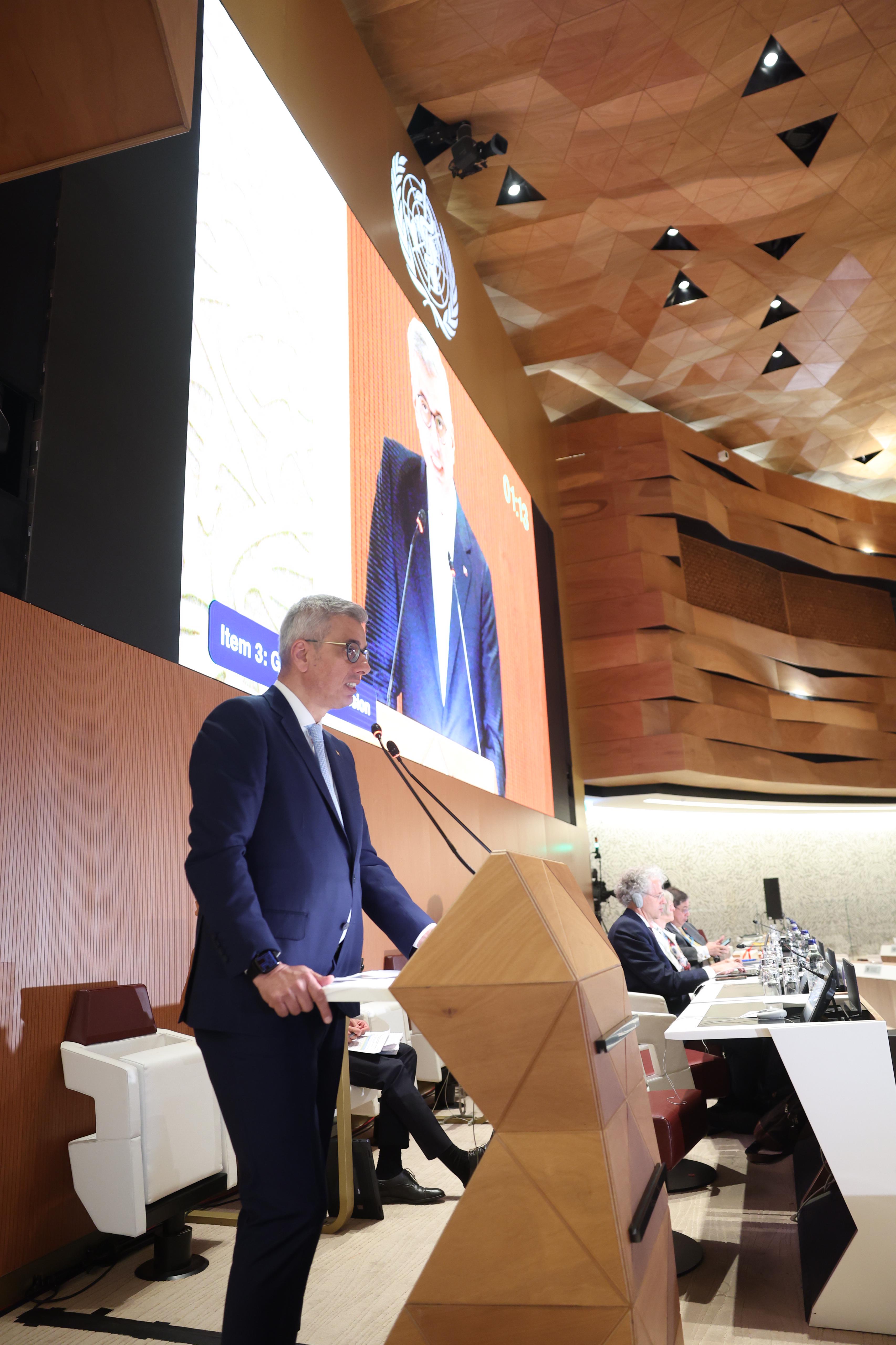 Dünya Sağlık Asamblesi