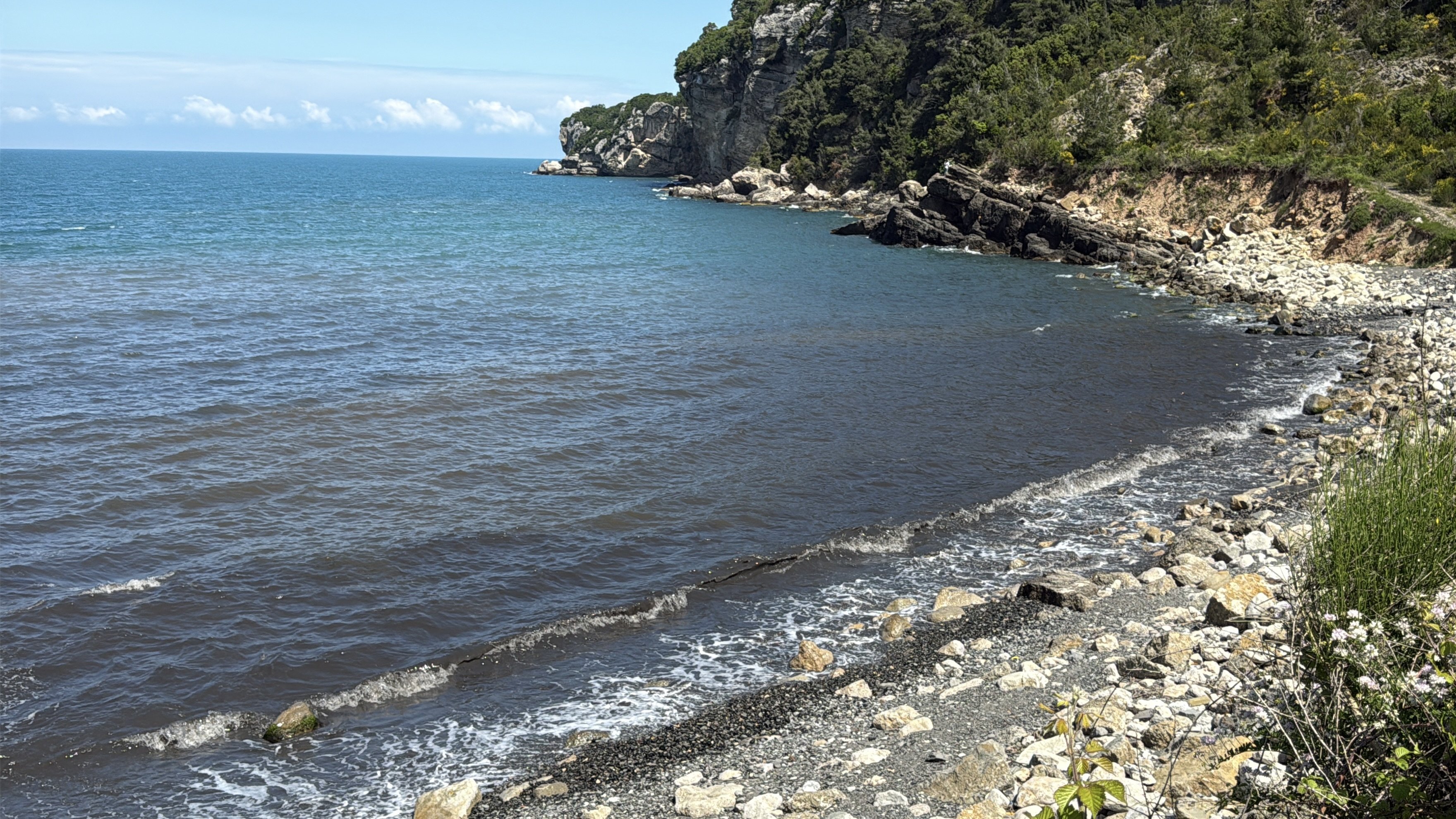 Amasra Deniz Kirliliği