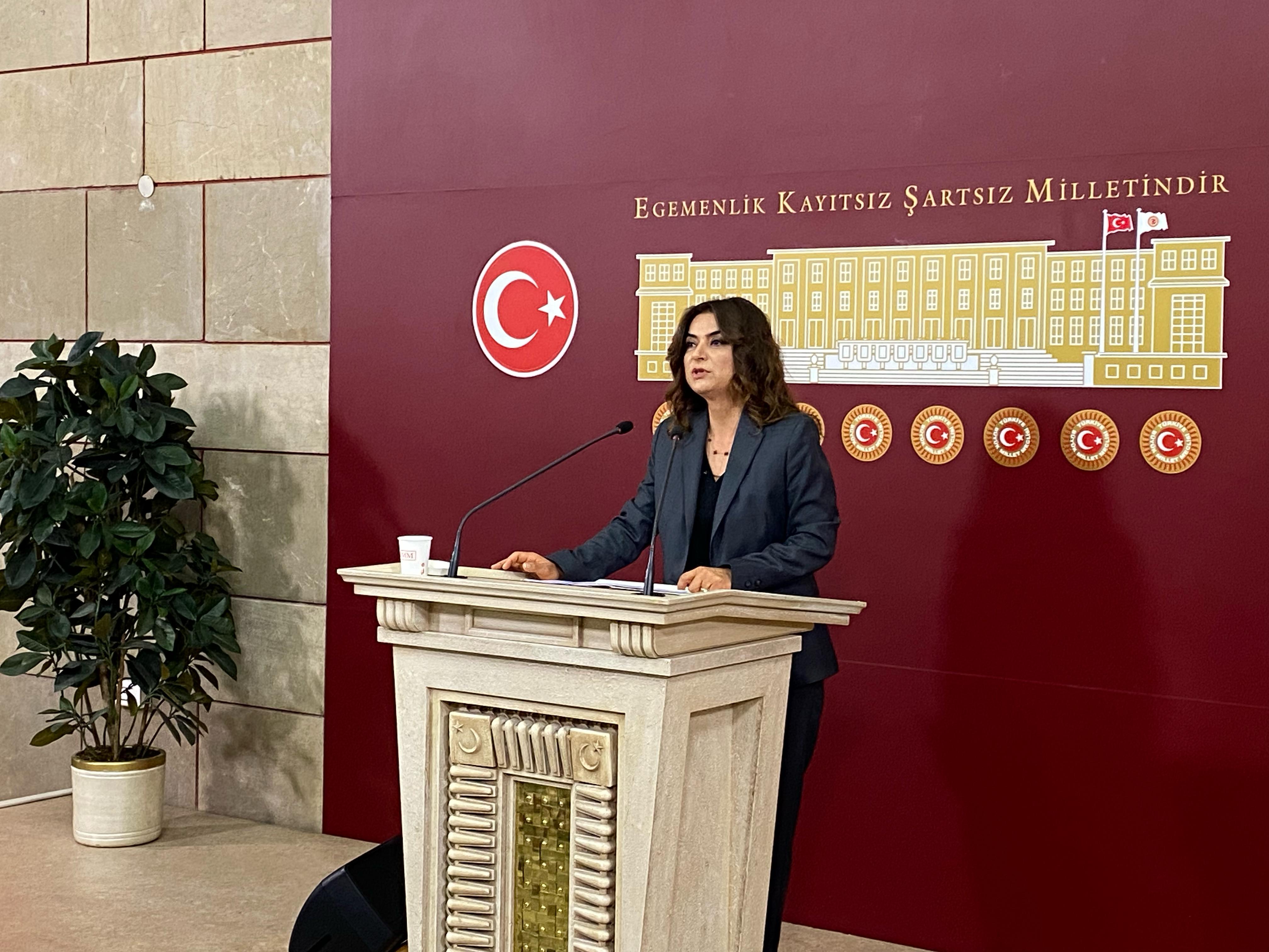 DEM Parti Grup Başkanvekili Gülistan Kılıç Koçyiğit