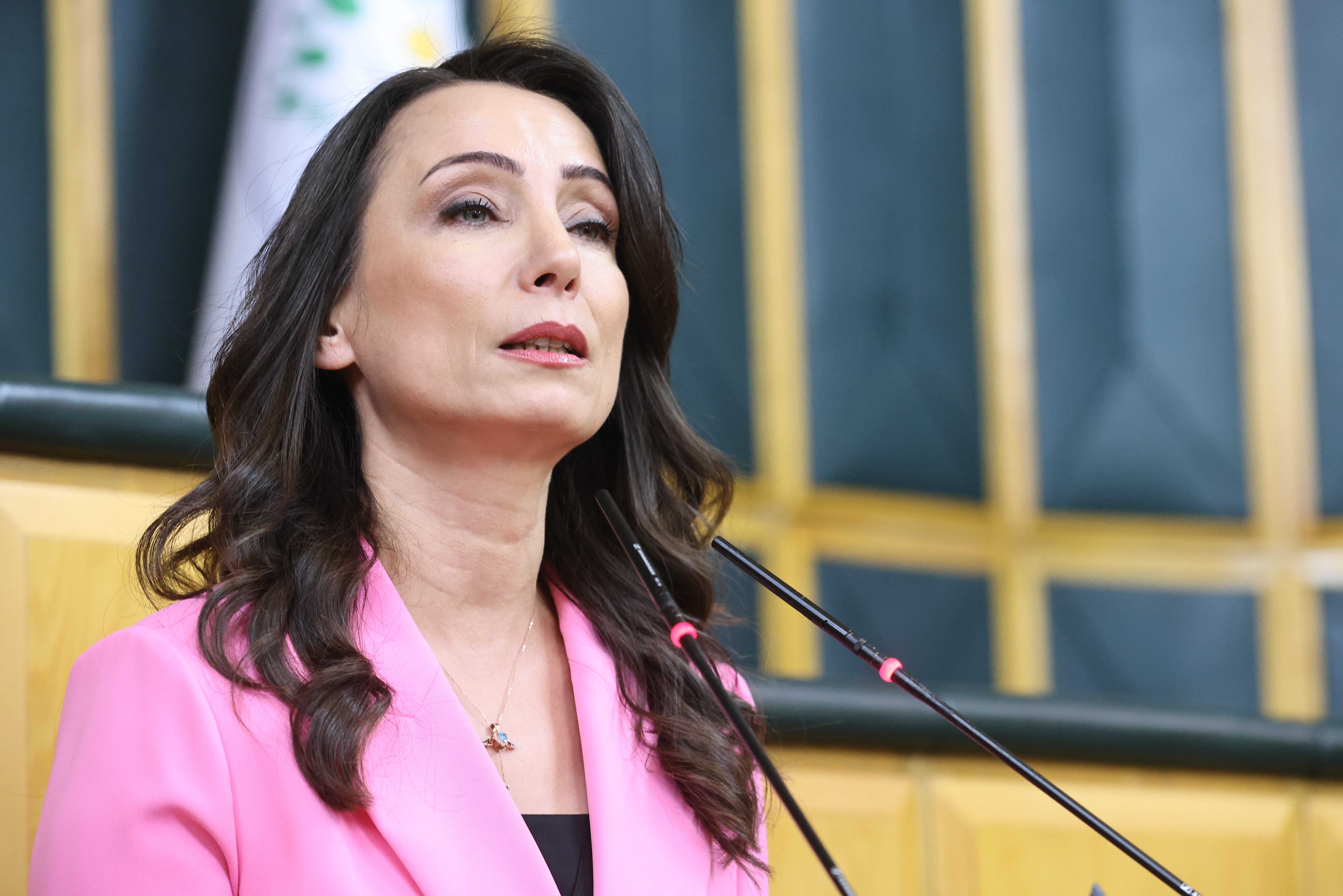 DEM Parti grup toplantısı