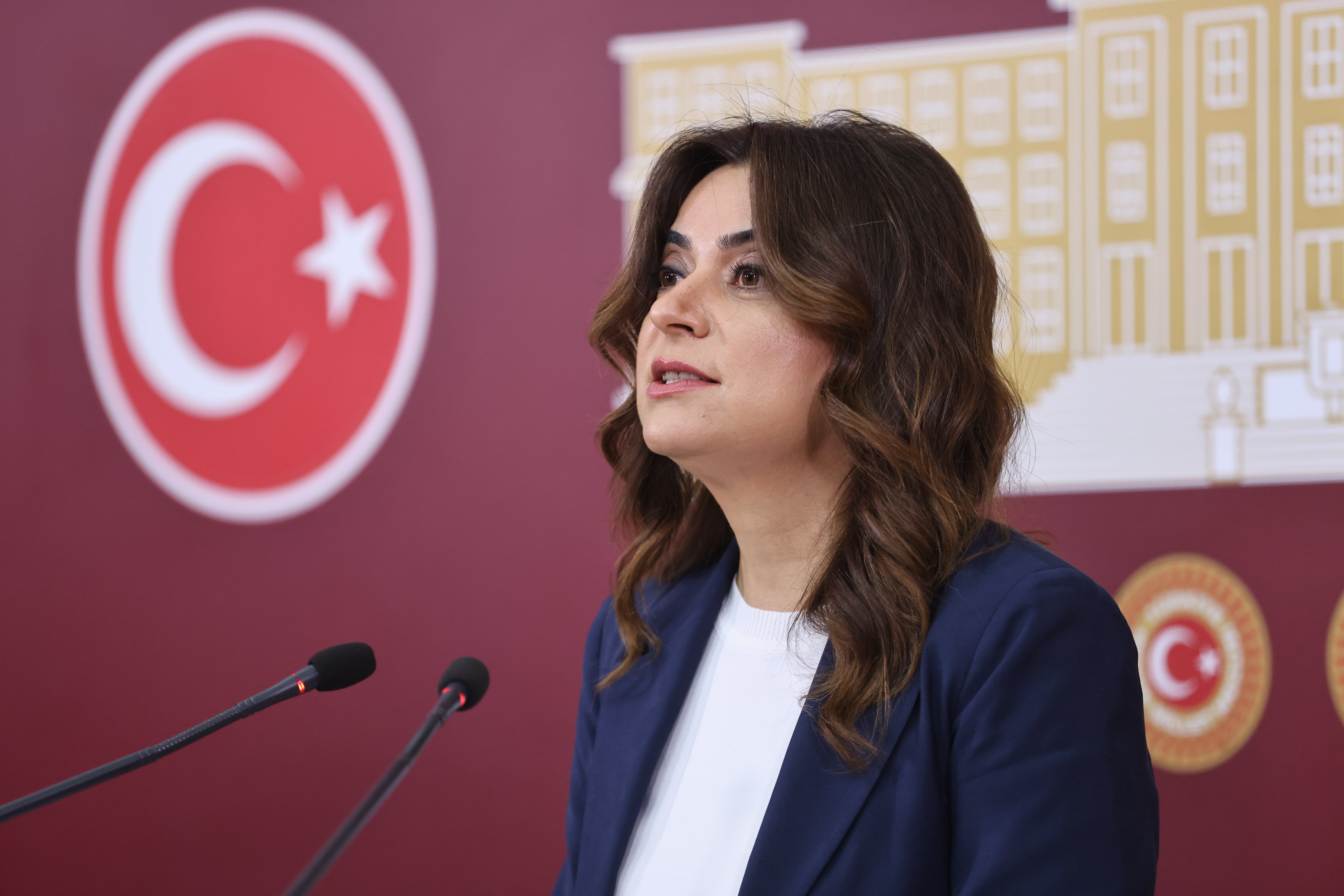 Gülistan Kılıç Koçyiğit TBMM Basın Toplantısı
