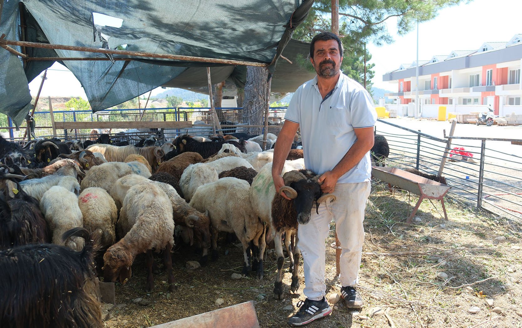 Kurban Atıkları