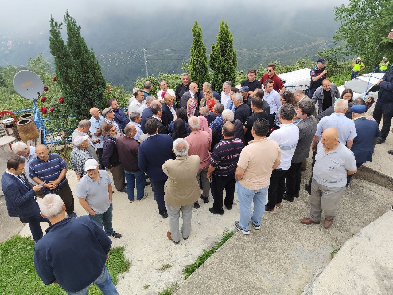 Giresun Fındık Bahçeleri