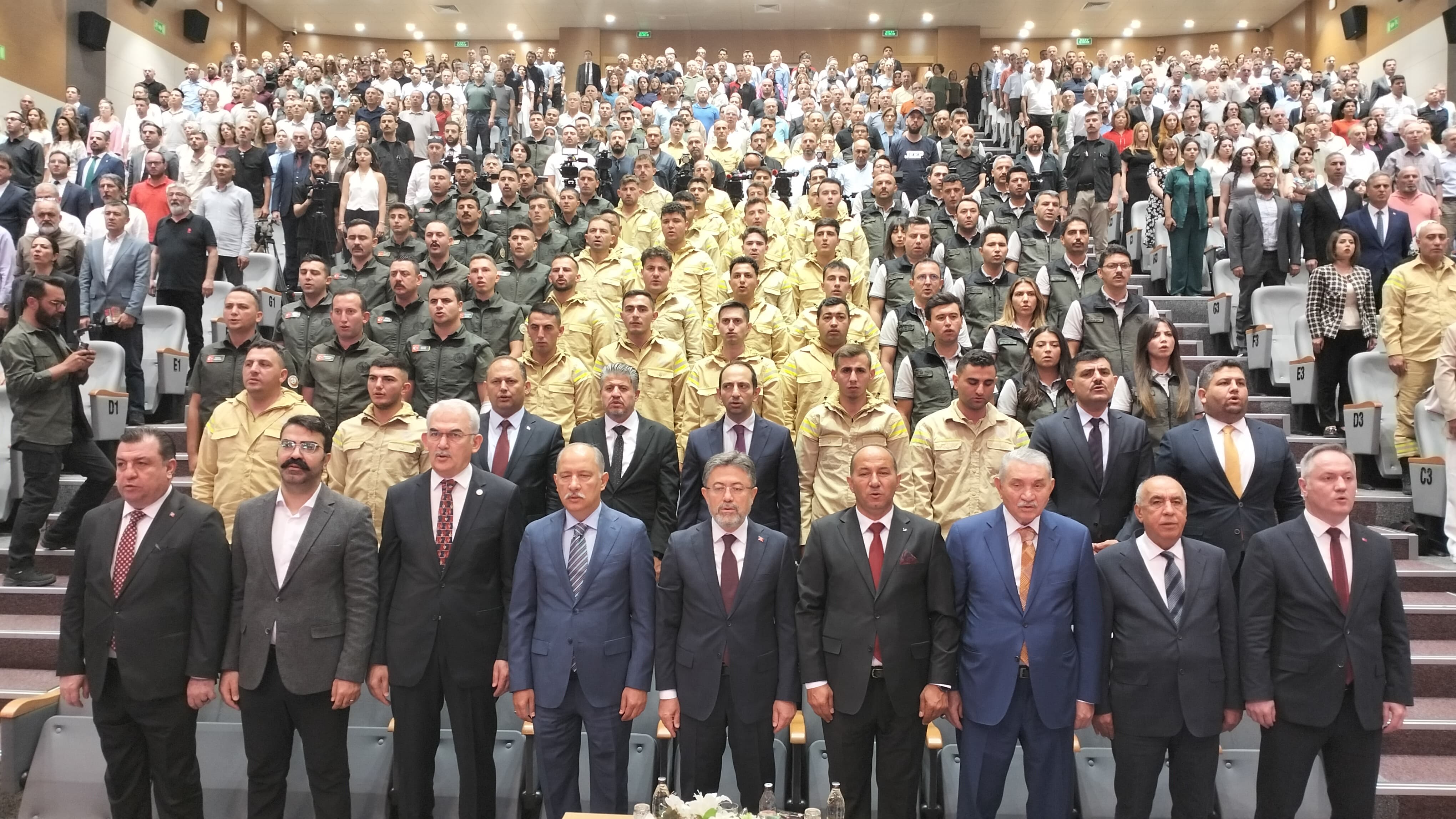 Orman Yangınları