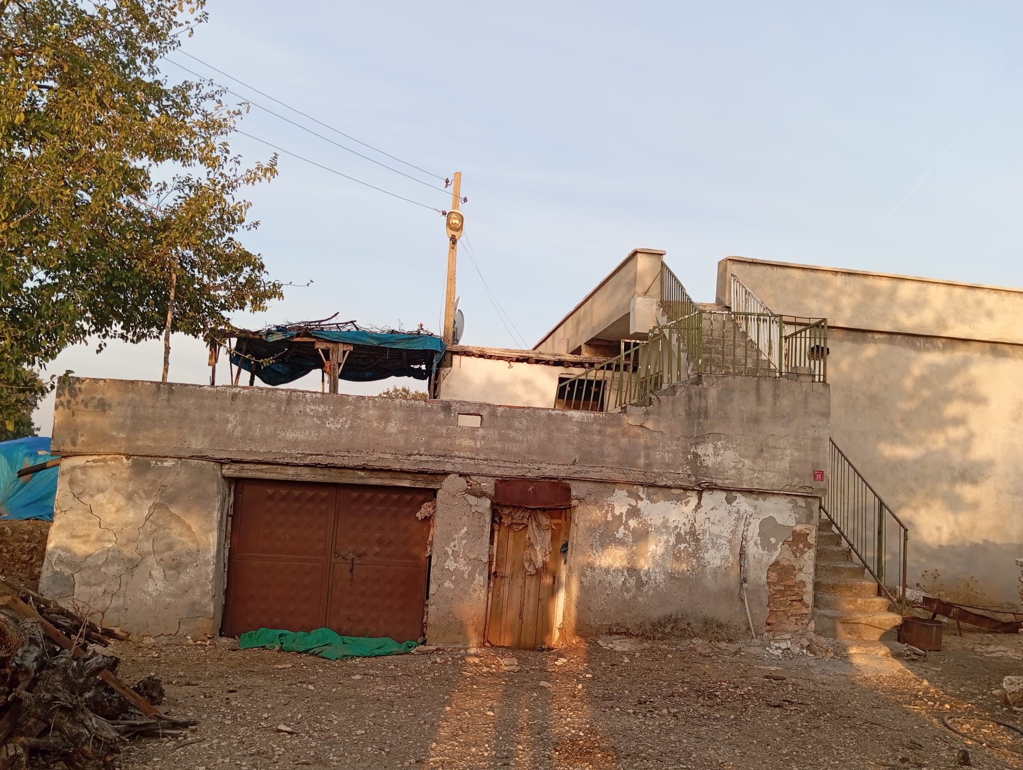 Mazlum Karabulut