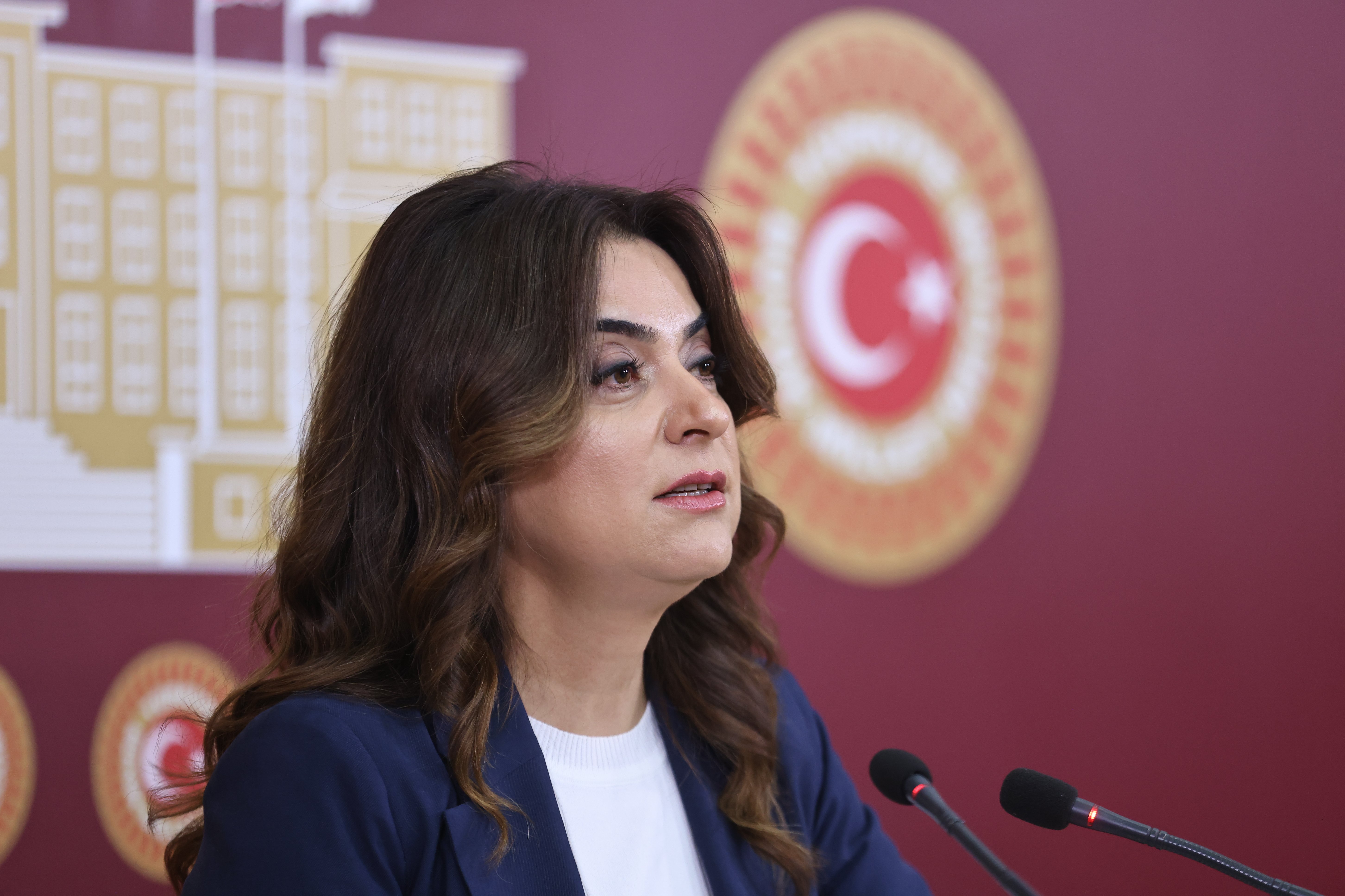 DEM Parti TBMM Basın Açıklaması