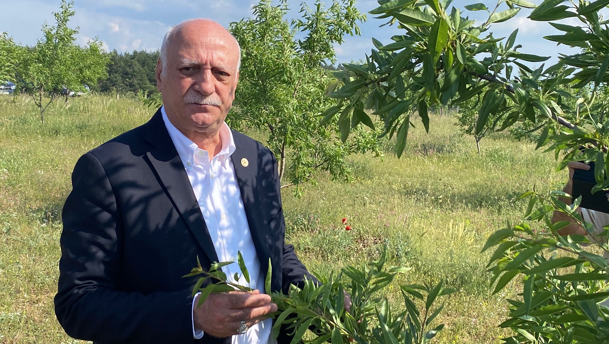 Şemsi Bayraktar tarım arazilerinde inceleme yapıyor