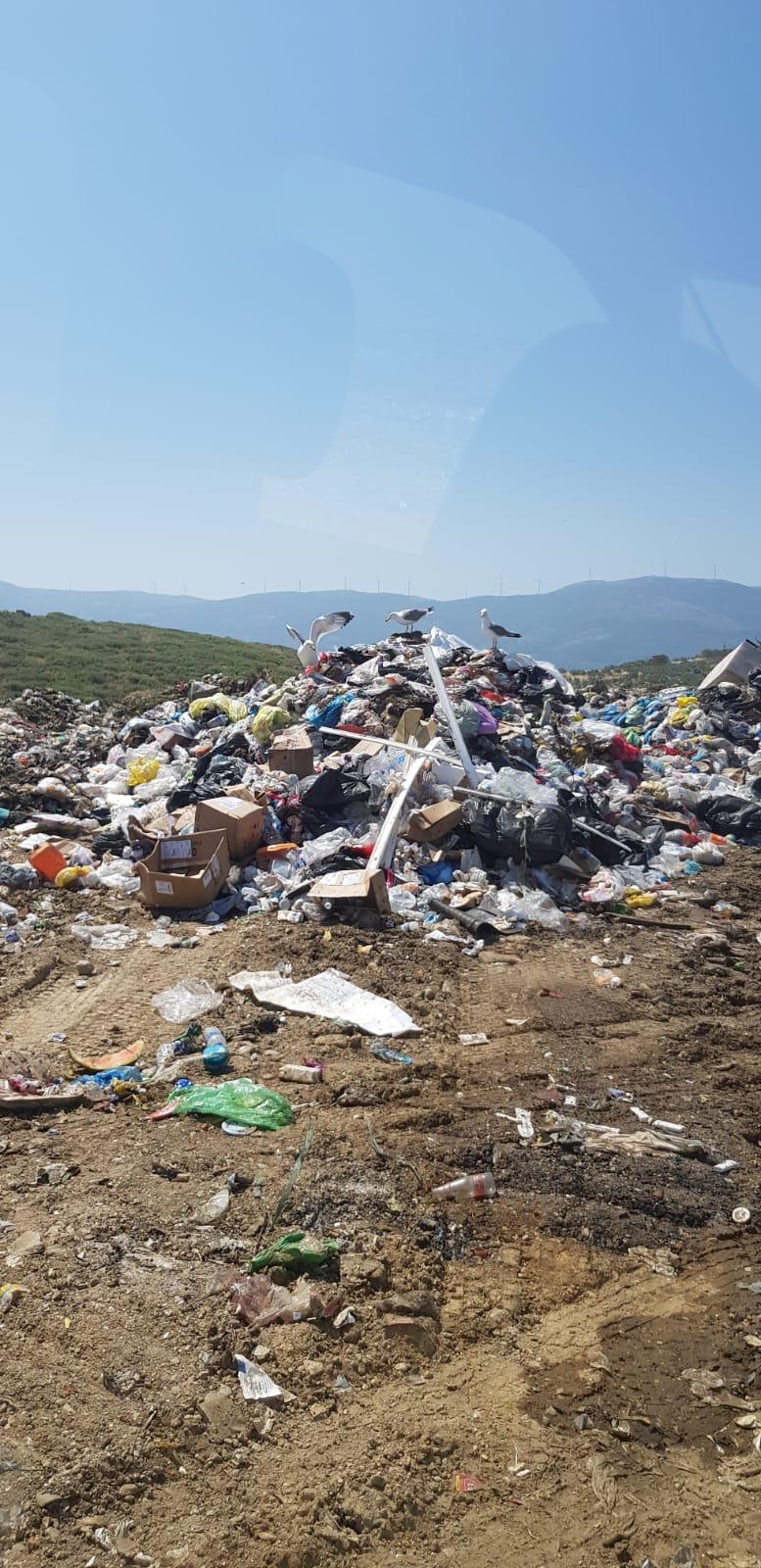 Bergama Katı Atık Tesisi