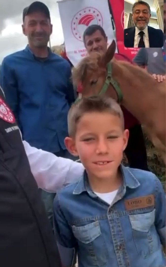 Tedavi edilen tay Nazlı