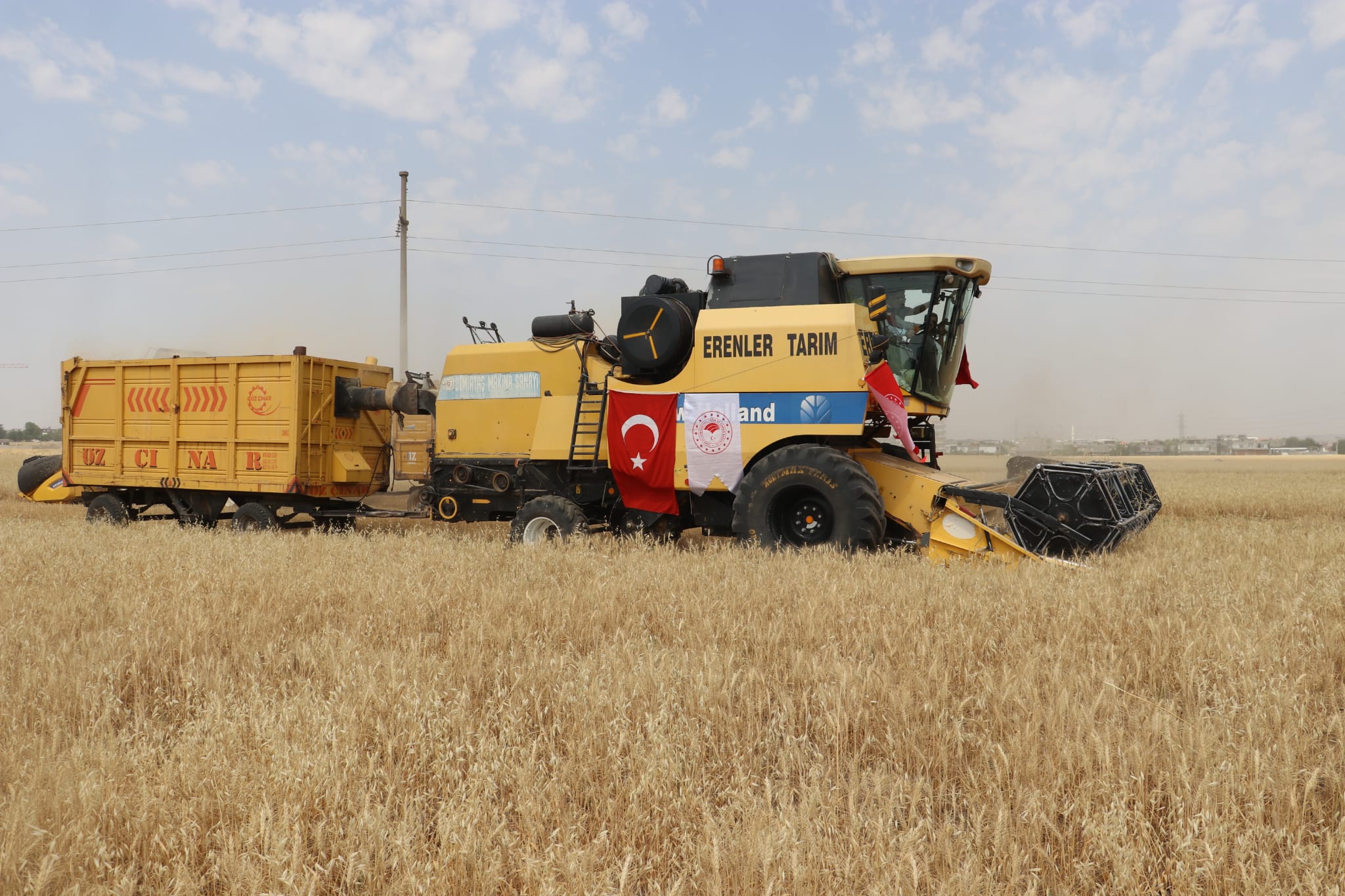 Buğday hasadı görüntüsü