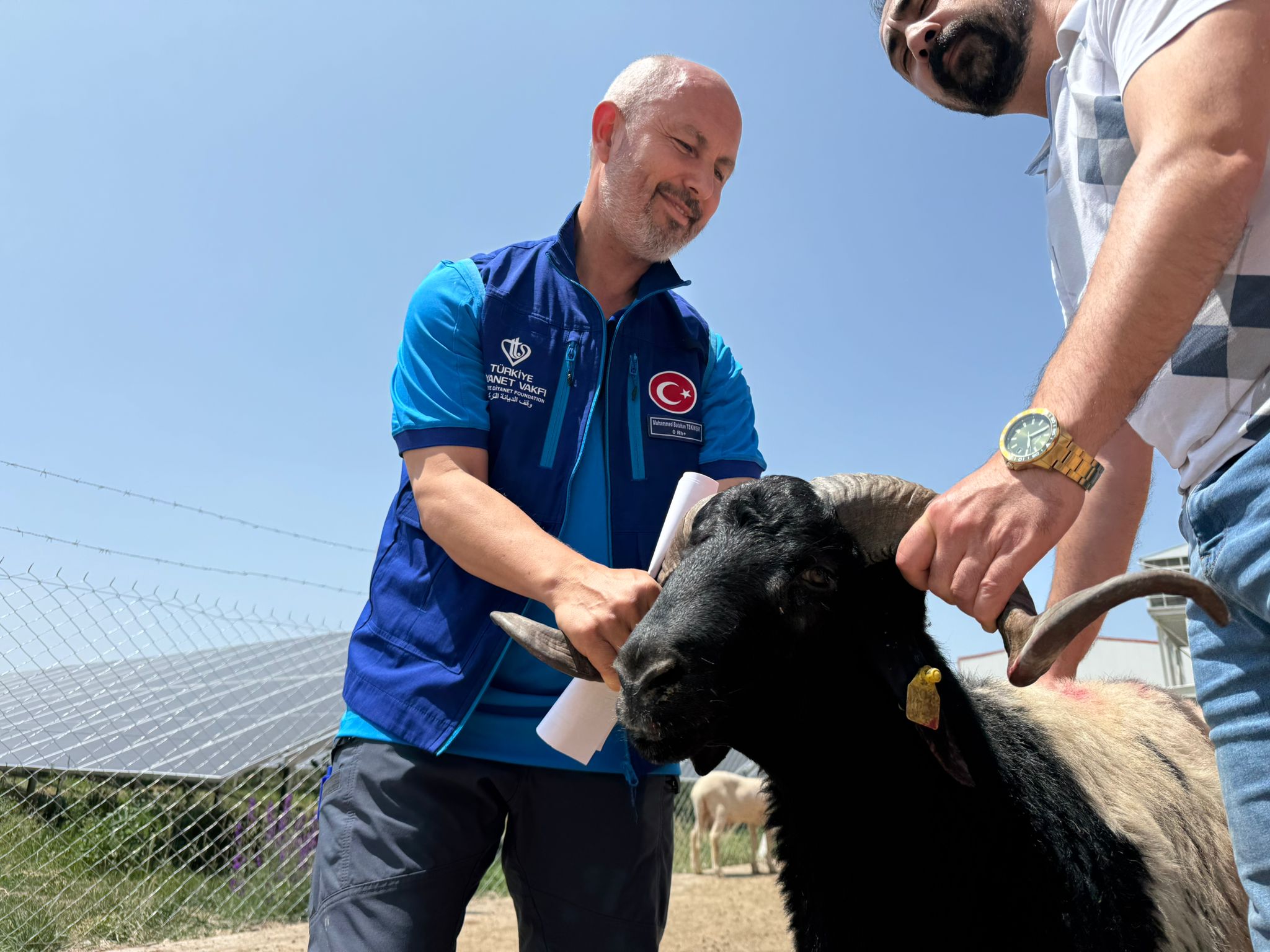 Kurban kesim töreni Konya