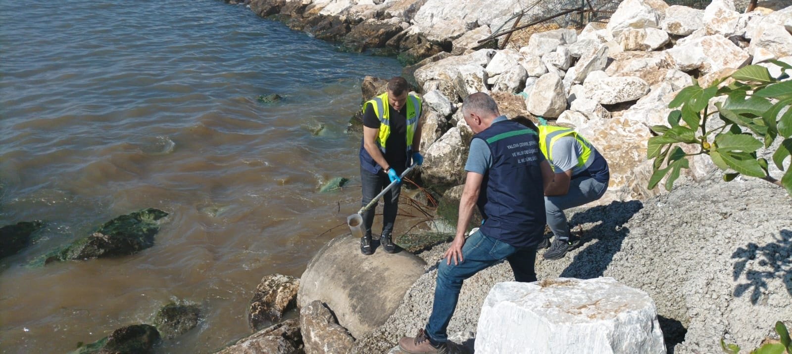 Deniz kirliliği Yalova
