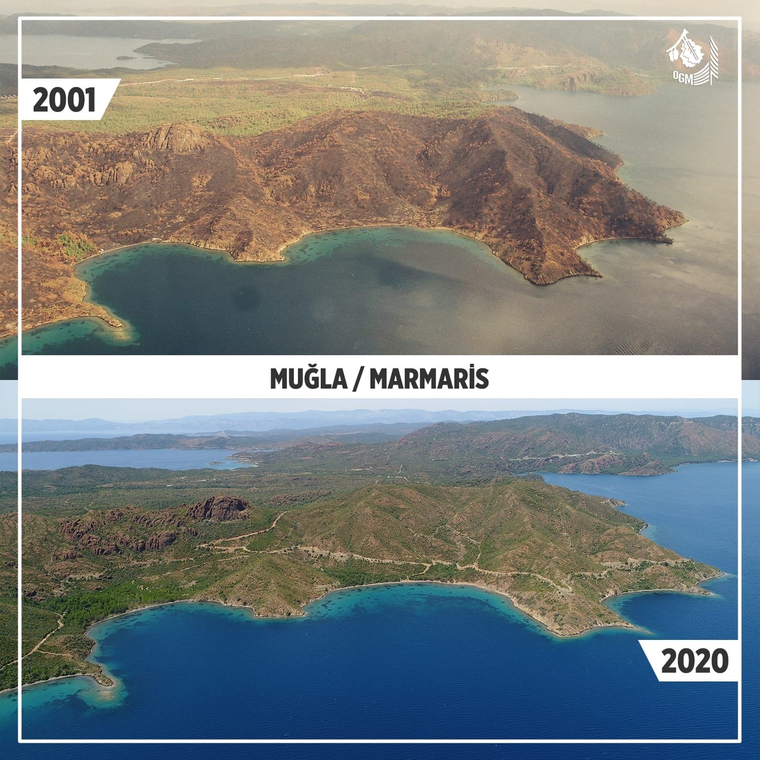 Ağaçlandırma Çalışmaları