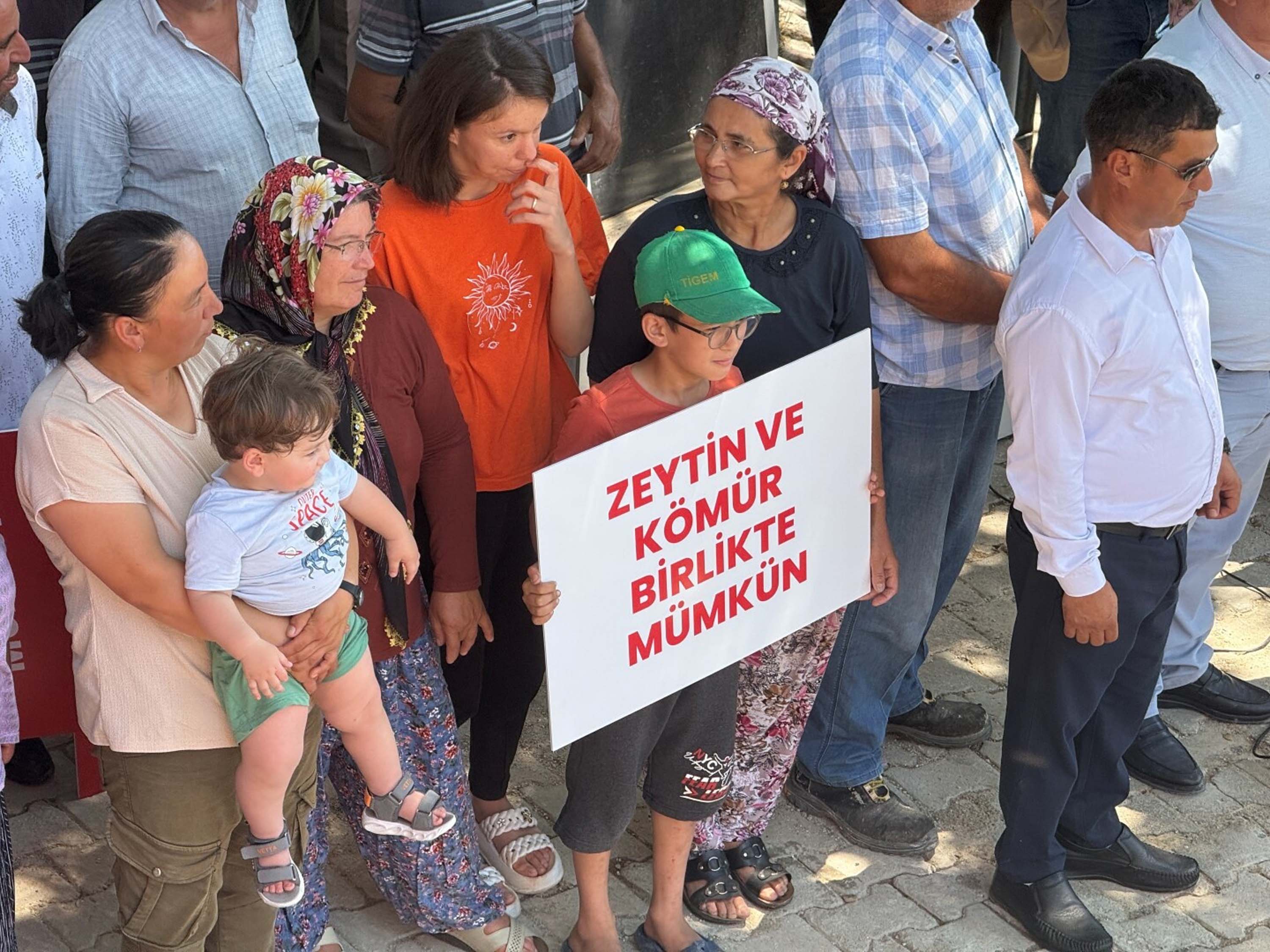 Milas zeytinlikleri