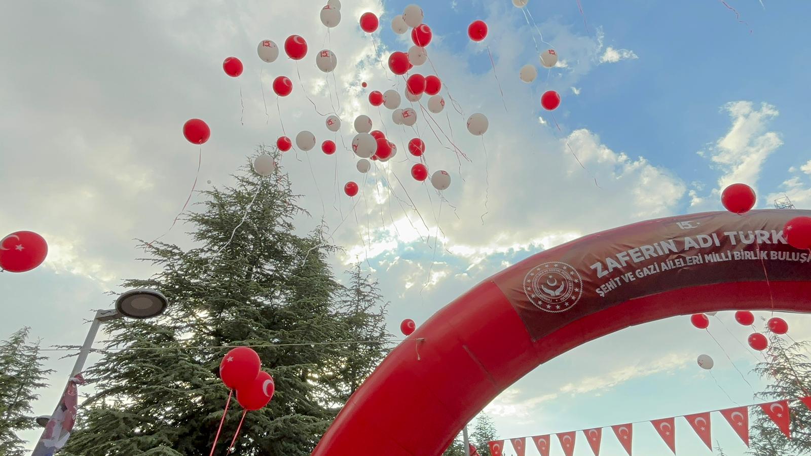 Şehit ve Gazi Aileleri Milli Birlik Buluşması
