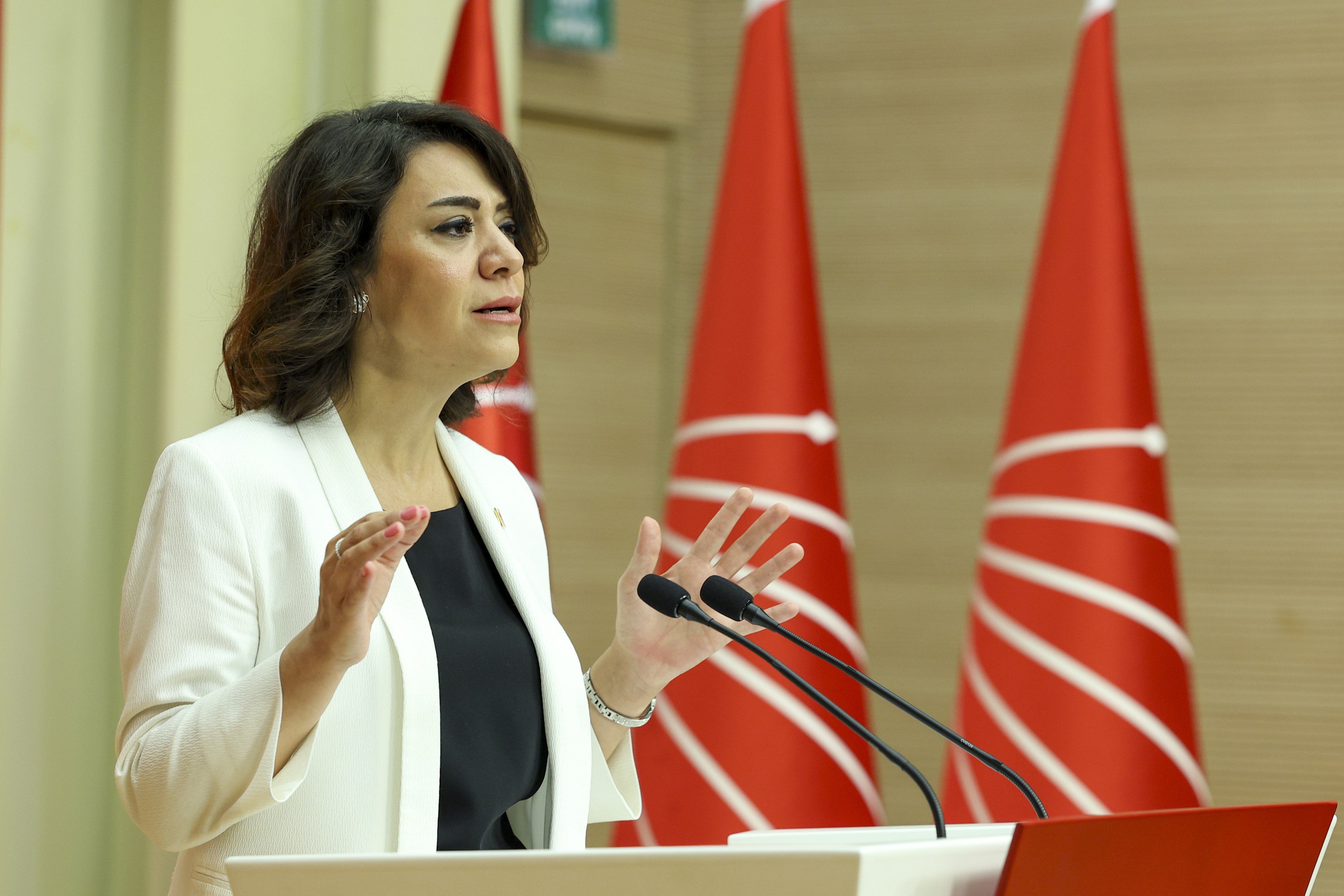 CHP Genel Başkan Yardımcısı Gamze Taşcıer