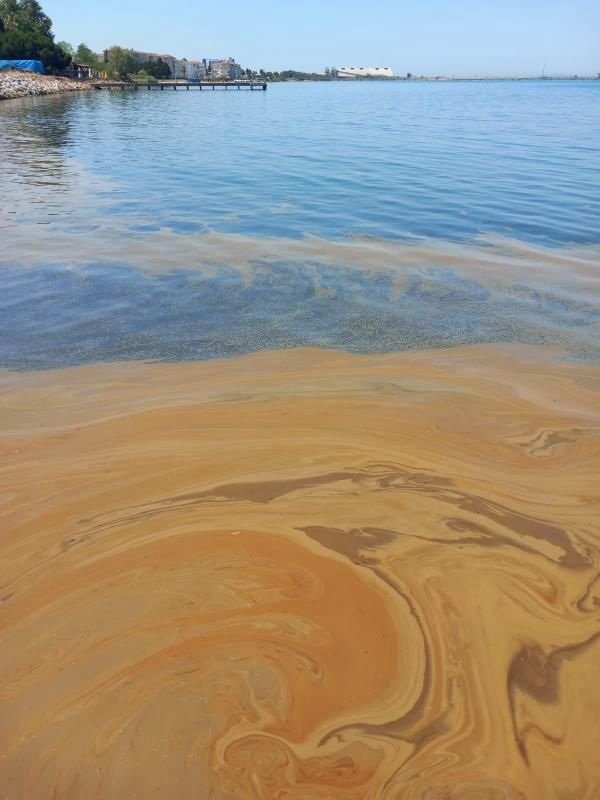 Marmara Denizi Atık Yağ Kirliliği