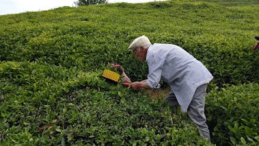 Rize Valisi İhsan Selim Baydaş