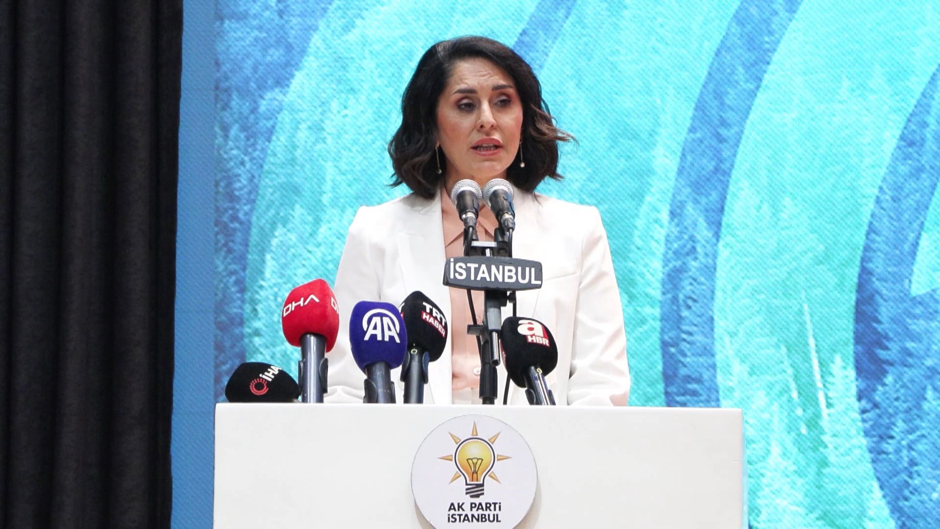 AK Parti İklim Programı