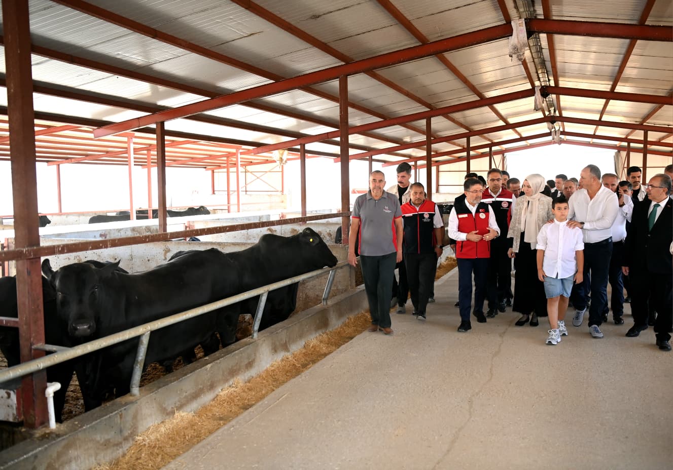 Bakan Yumaklı buzağı seviyor