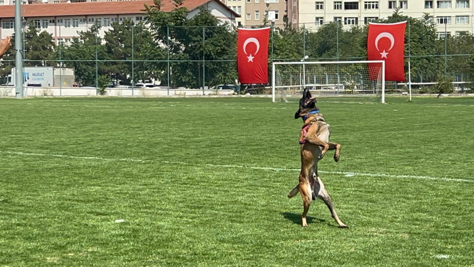 Zafer Bayramı töreni