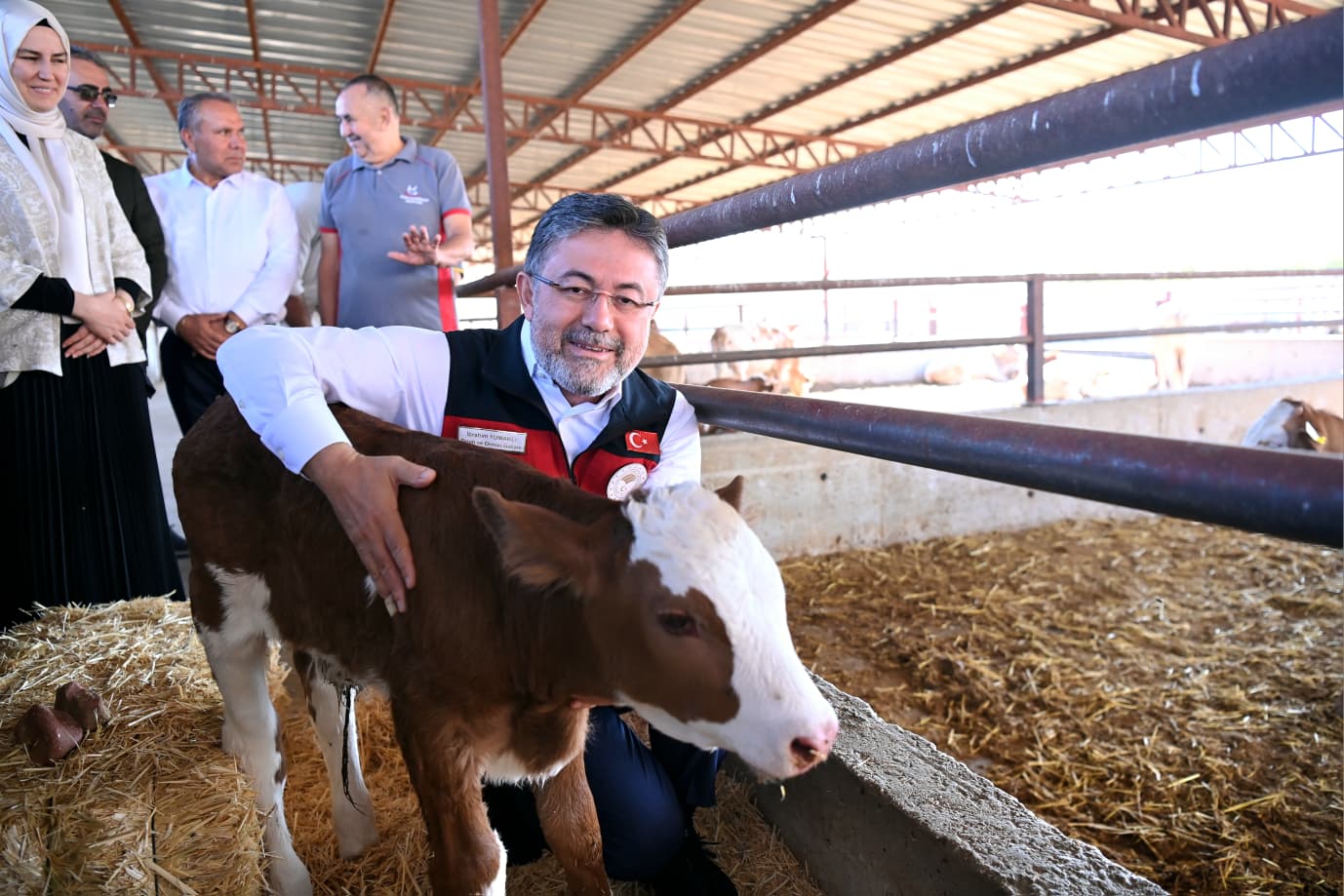 Bakan Yumaklı buzağıları inceliyor