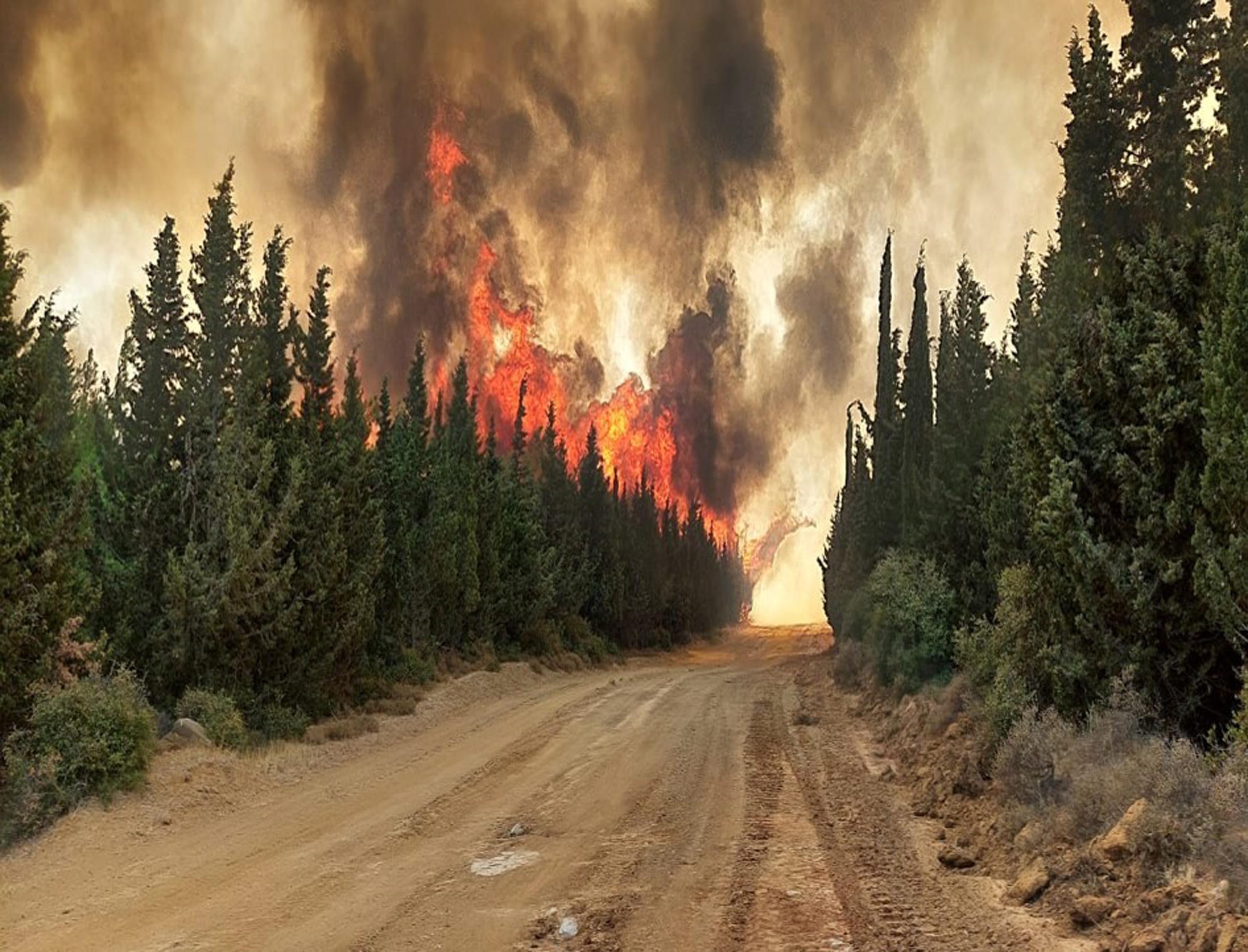Yangın Sonrası Saha