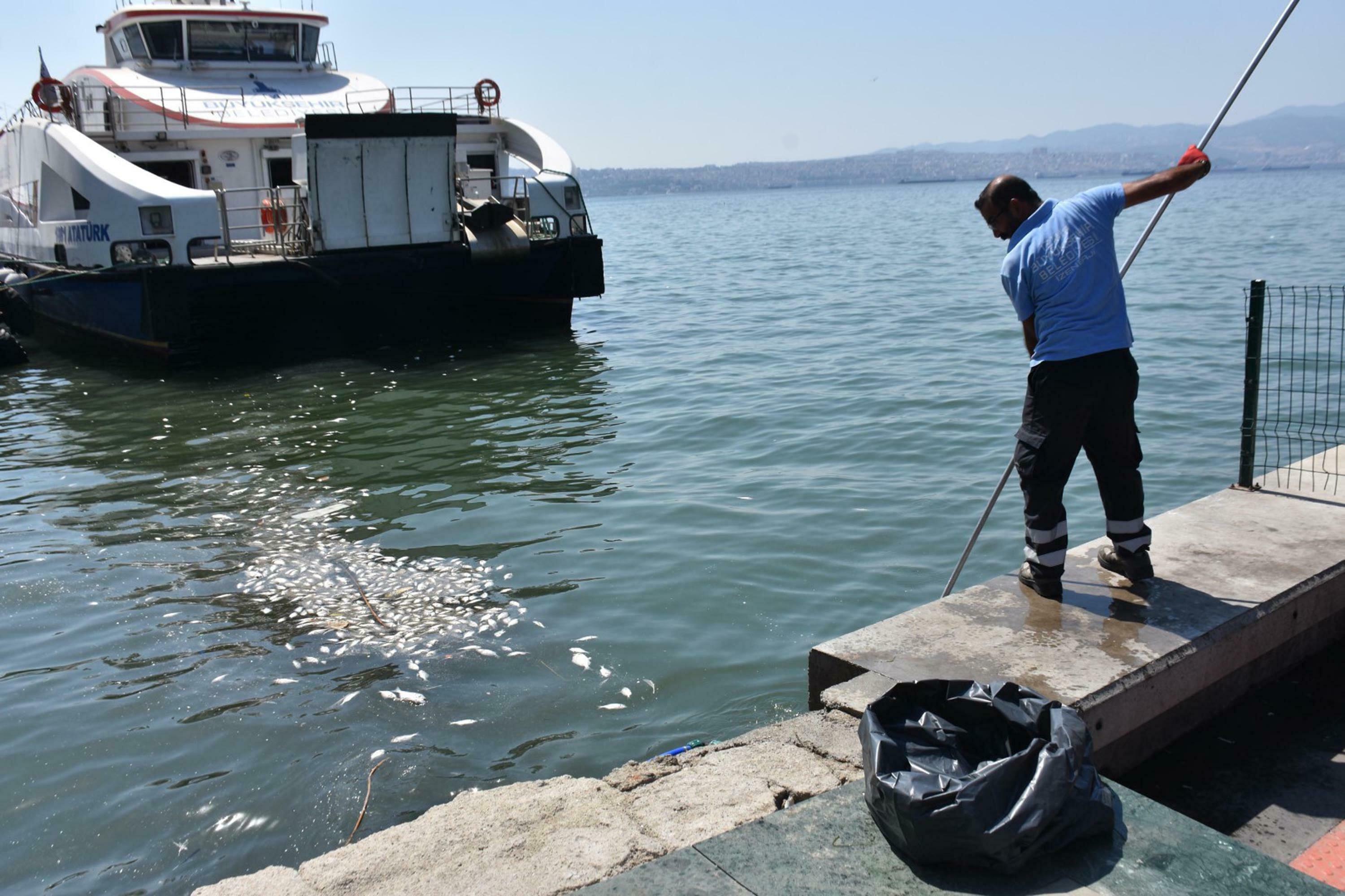 İzmir Körfezi dereler