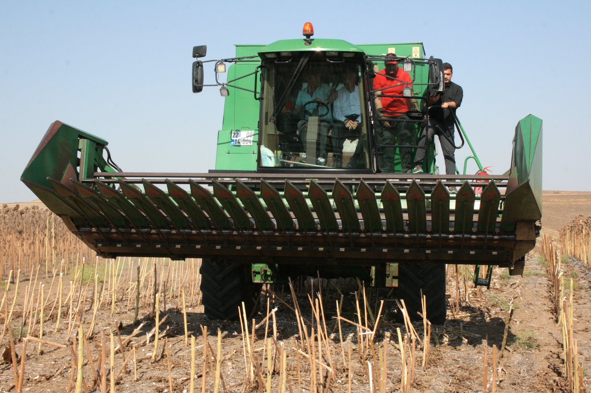 AK Parti Milletvekili Fatma Aksal