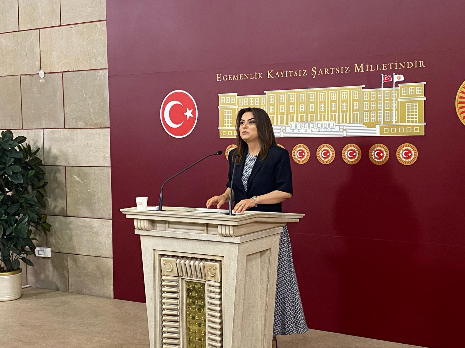DEM Parti Grup Başkanvekili Gülistan Kılıç Koçyiğit