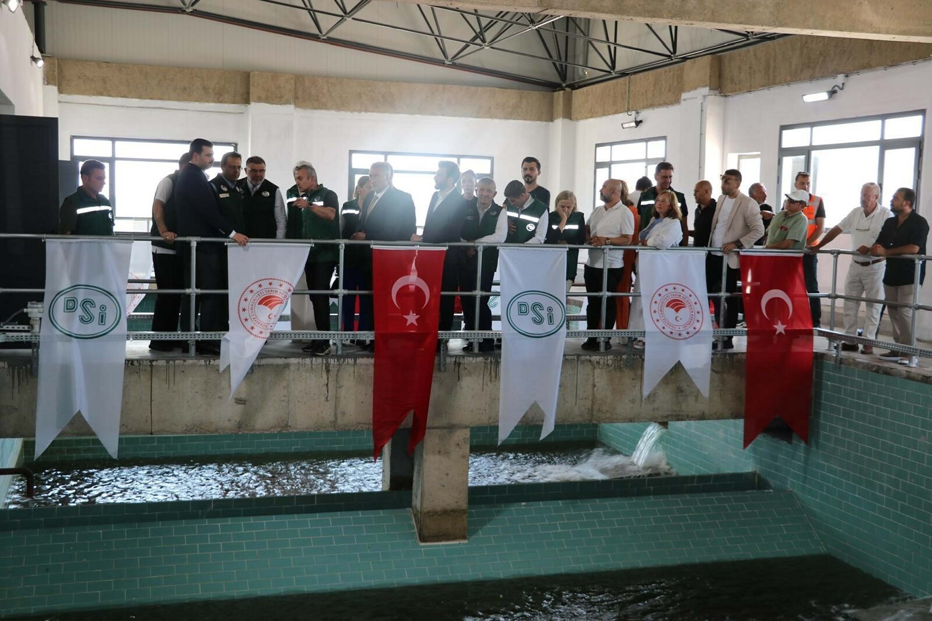 Ebubekir Gizligider