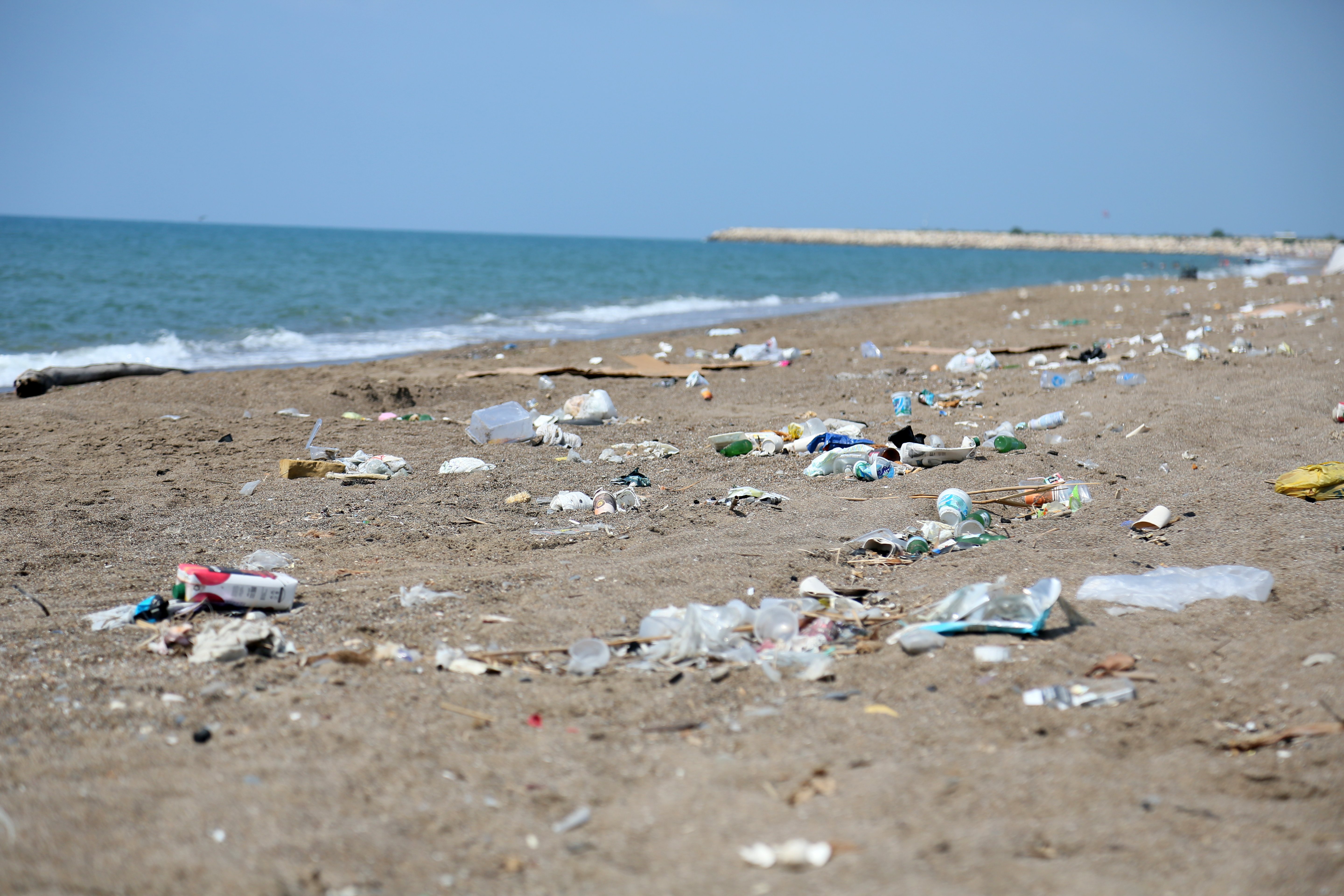 Kumköy Sahili caretta yuvaları