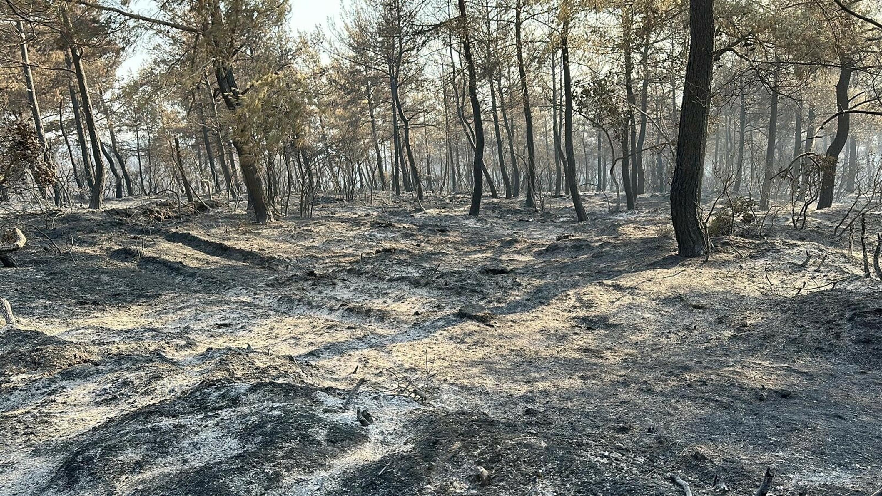 Çanakkale Yangın Sonrası