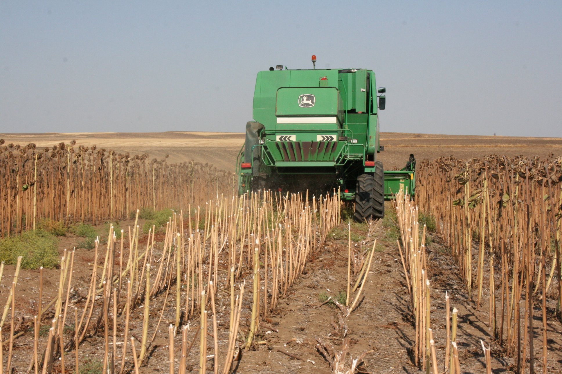 Hasat etkinliği katılımcıları