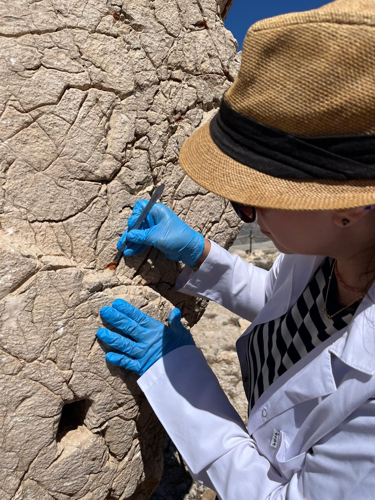Nemrut Dağı Restorasyon Çalışmaları