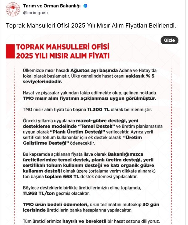 TMO Mısır Alım Fiyatı Açıklandı