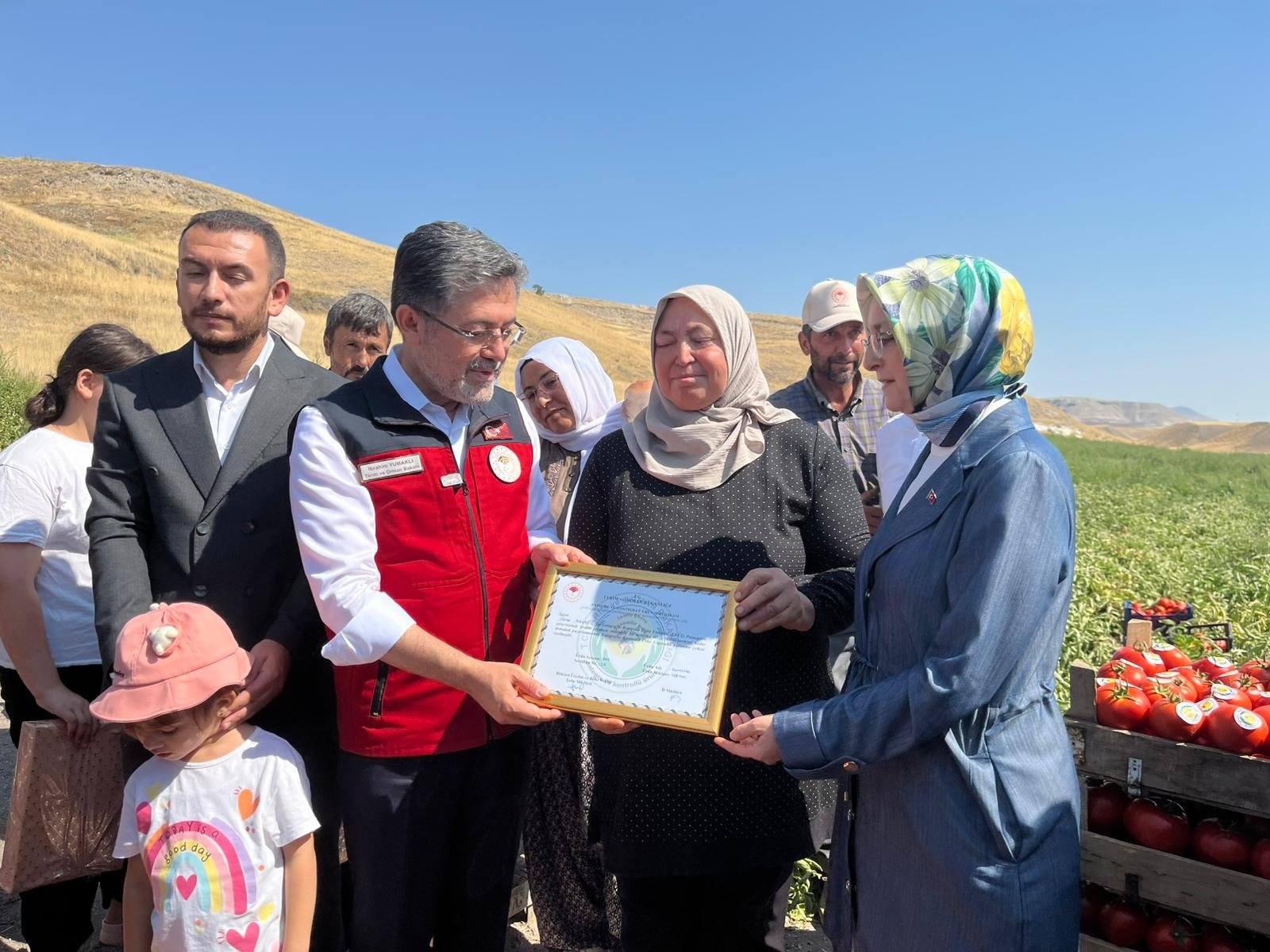 Bakan Yumaklı çiftçilerle hasat yaparken