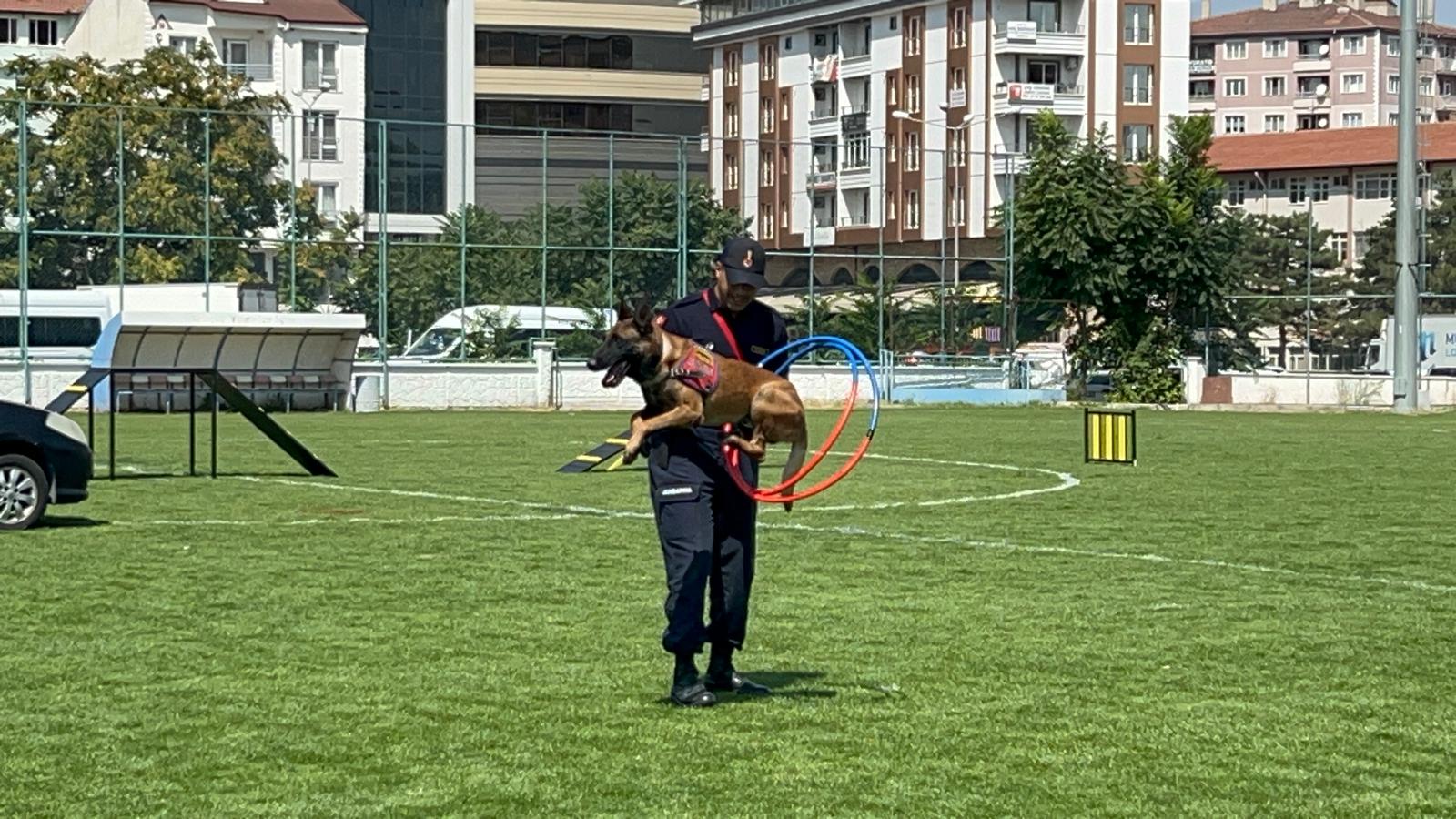 JAKEM köpekleri gösterisi