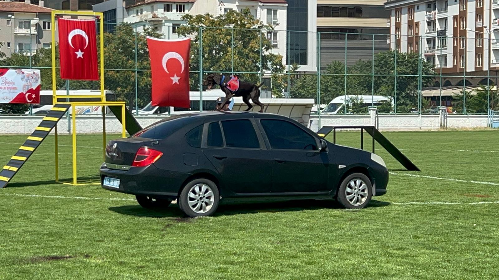 JAKEM köpekleri eğitim