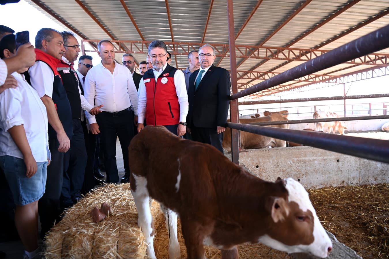 Bakan Yumaklı çiftlikte incelemelerde