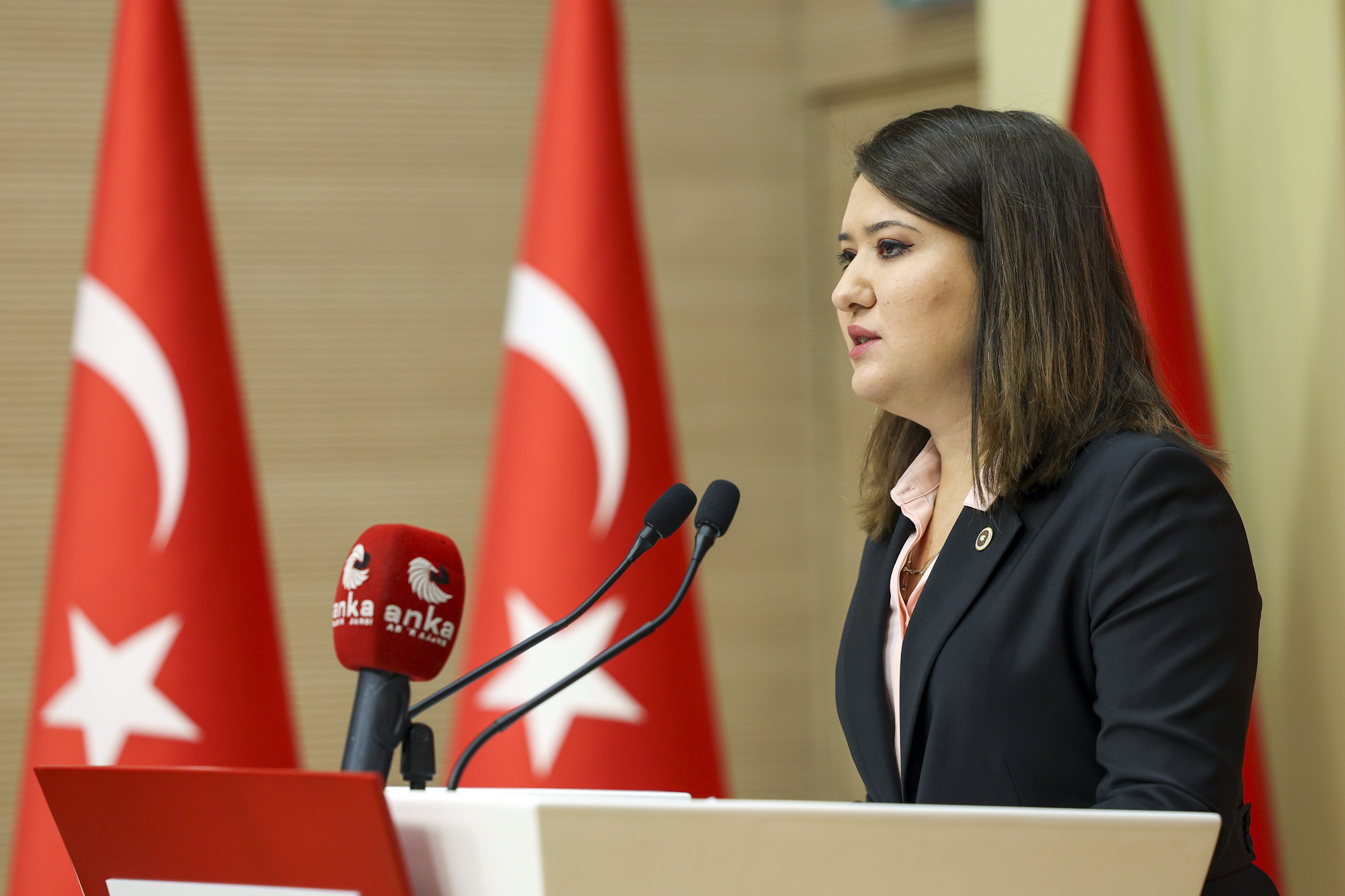 Gökçe Gökçen Basın Toplantısı