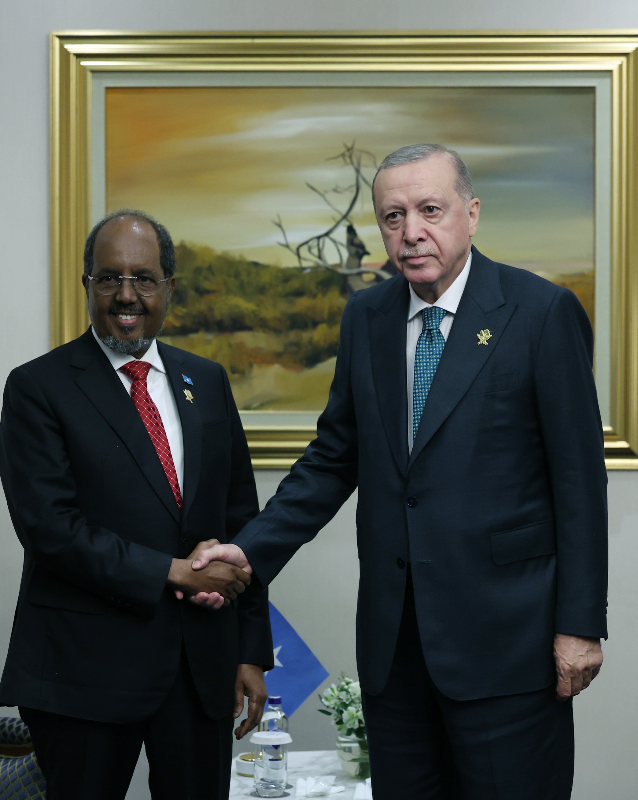 Cumhurbaşkanı Erdoğan Somali Cumhurbaşkanı Mahmud