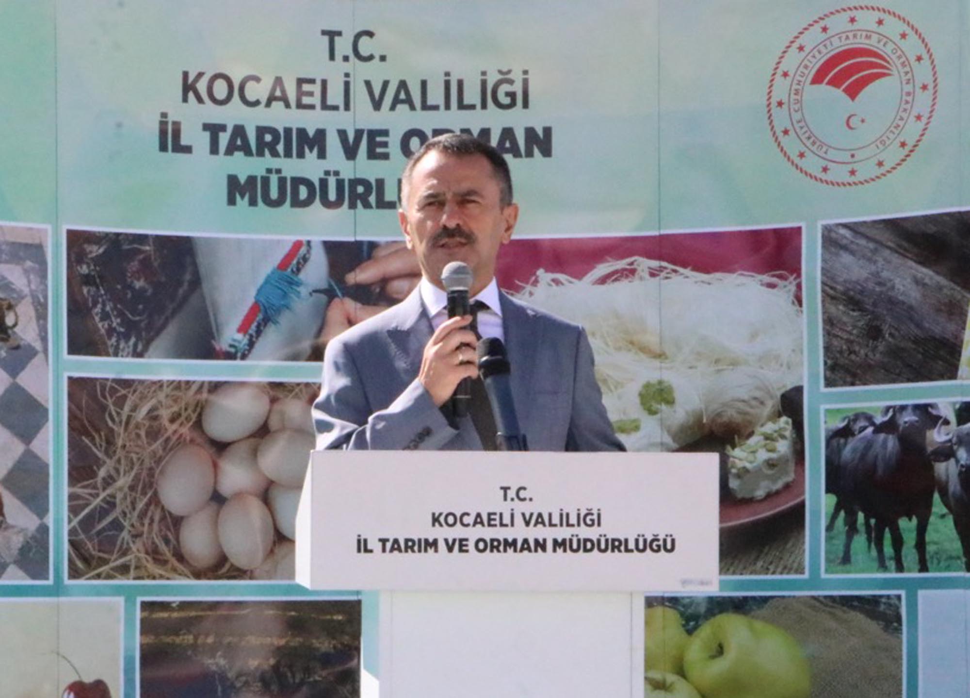 Hasat Töreni Protokolü