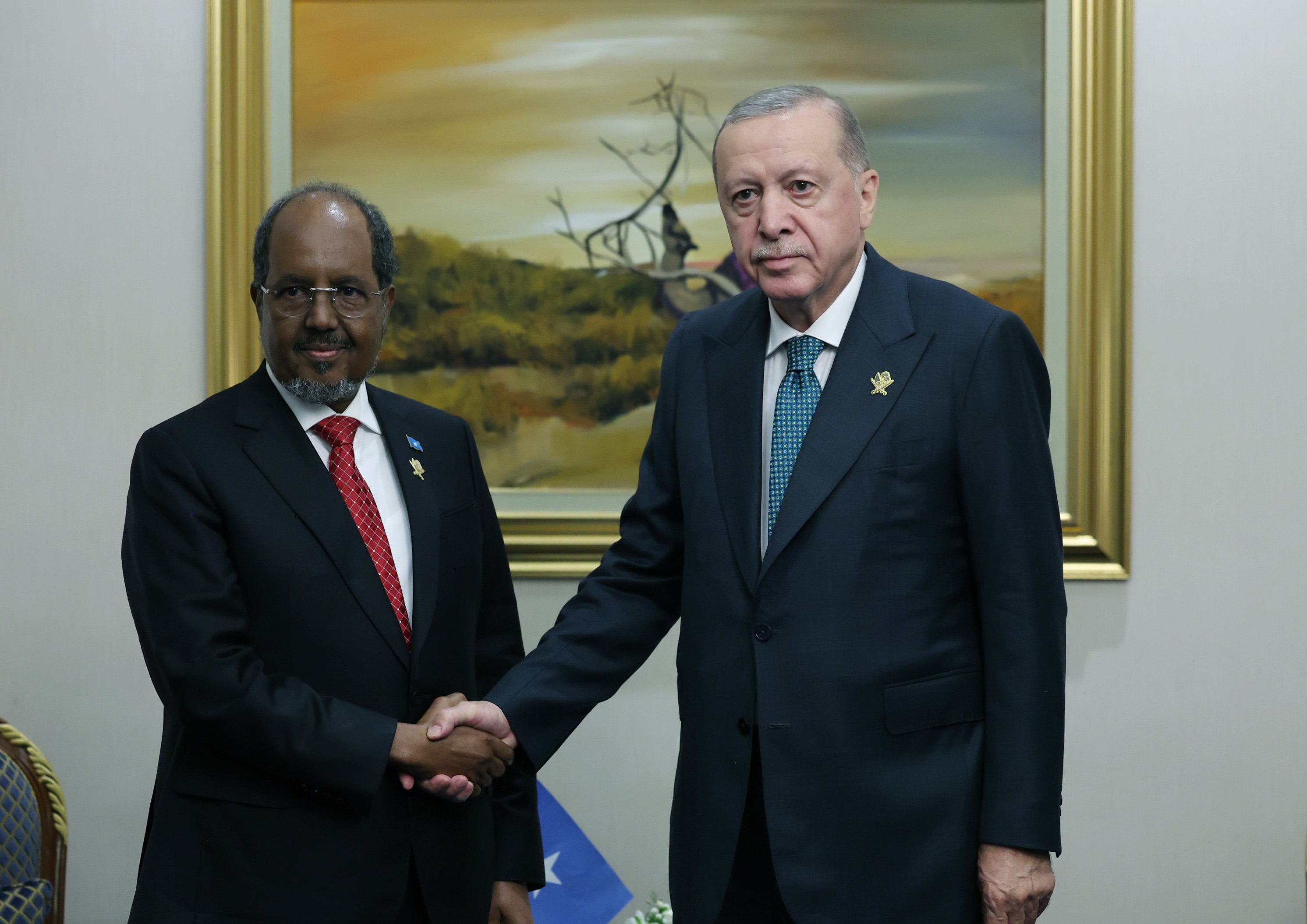 Türkiye Somali diplomatik zirve