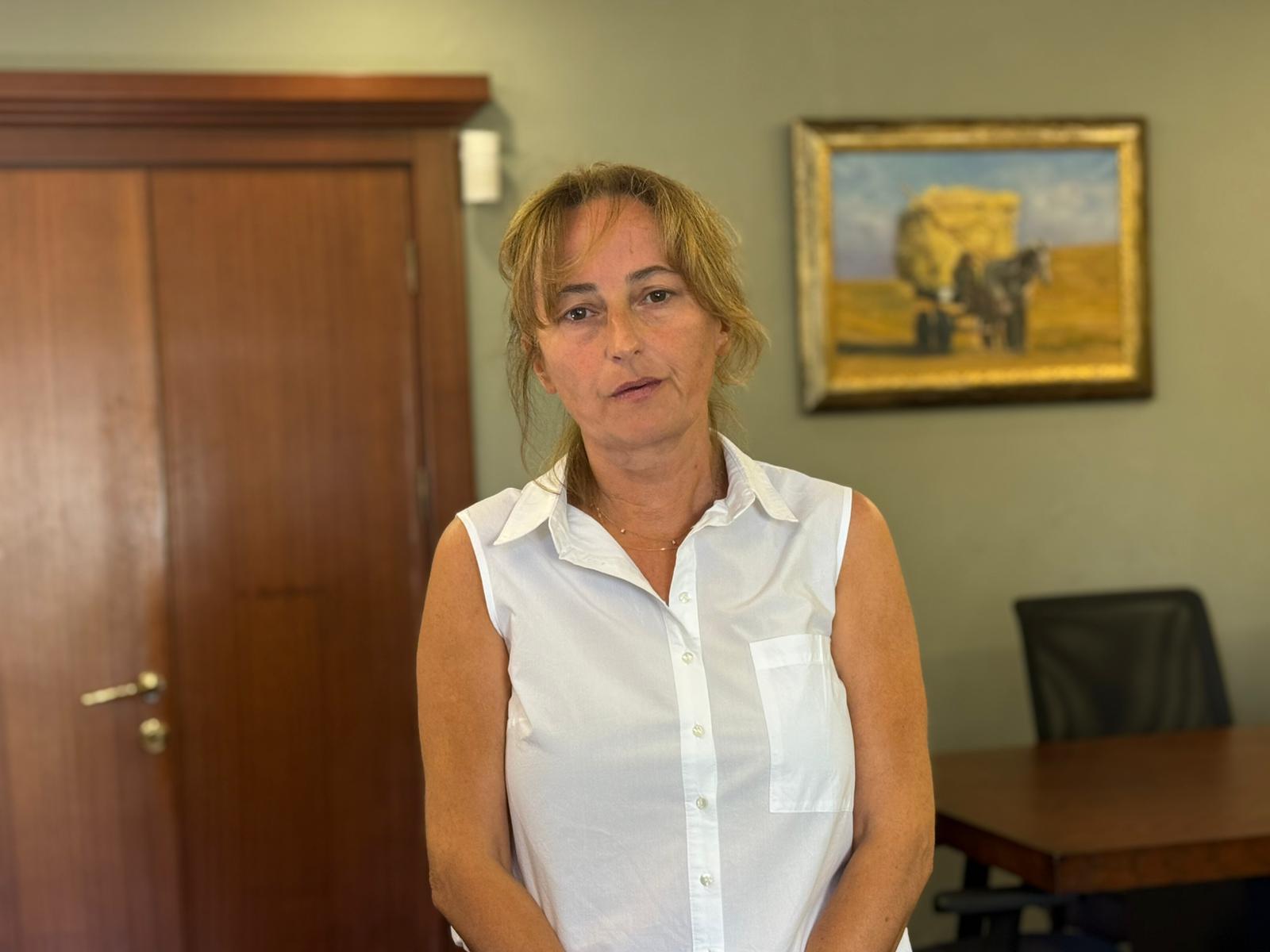 Yargı sistemi