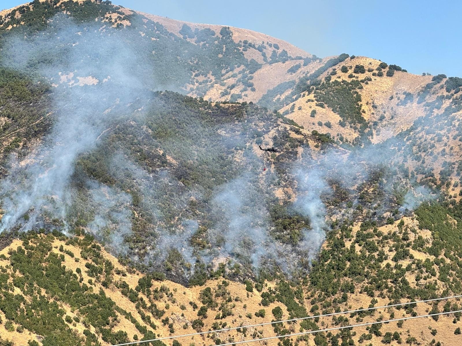 Hakkari Orman Yangını DEM Parti Milletvekili Onur Düşünmez
