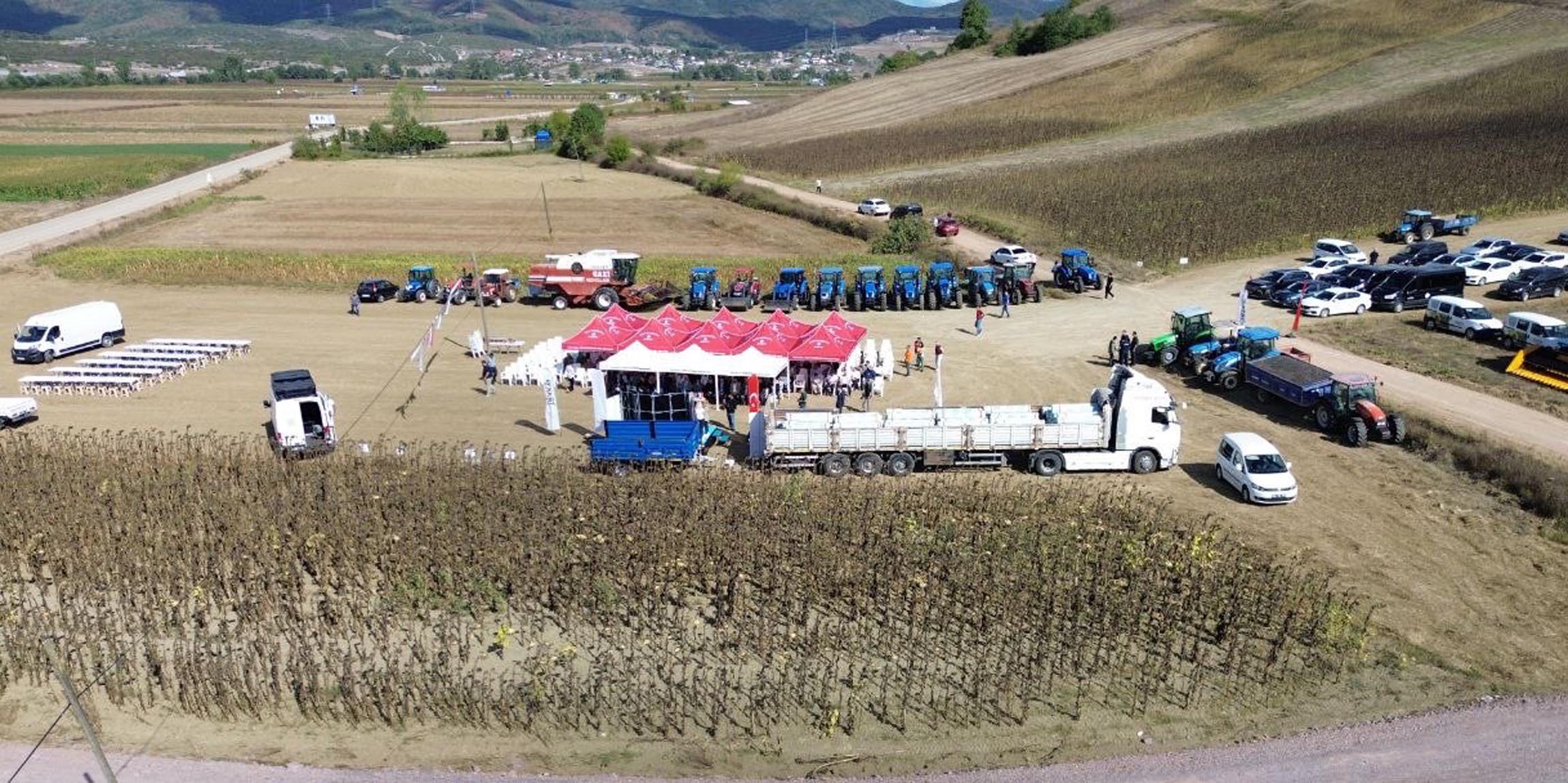 Yerli ve Milli Hibrit Ayçiçeği Hasadı