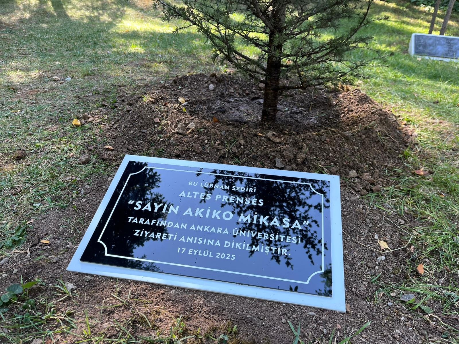 Ankara Üniversitesi Rektörü Prof. Dr. Necdet Ünüvar