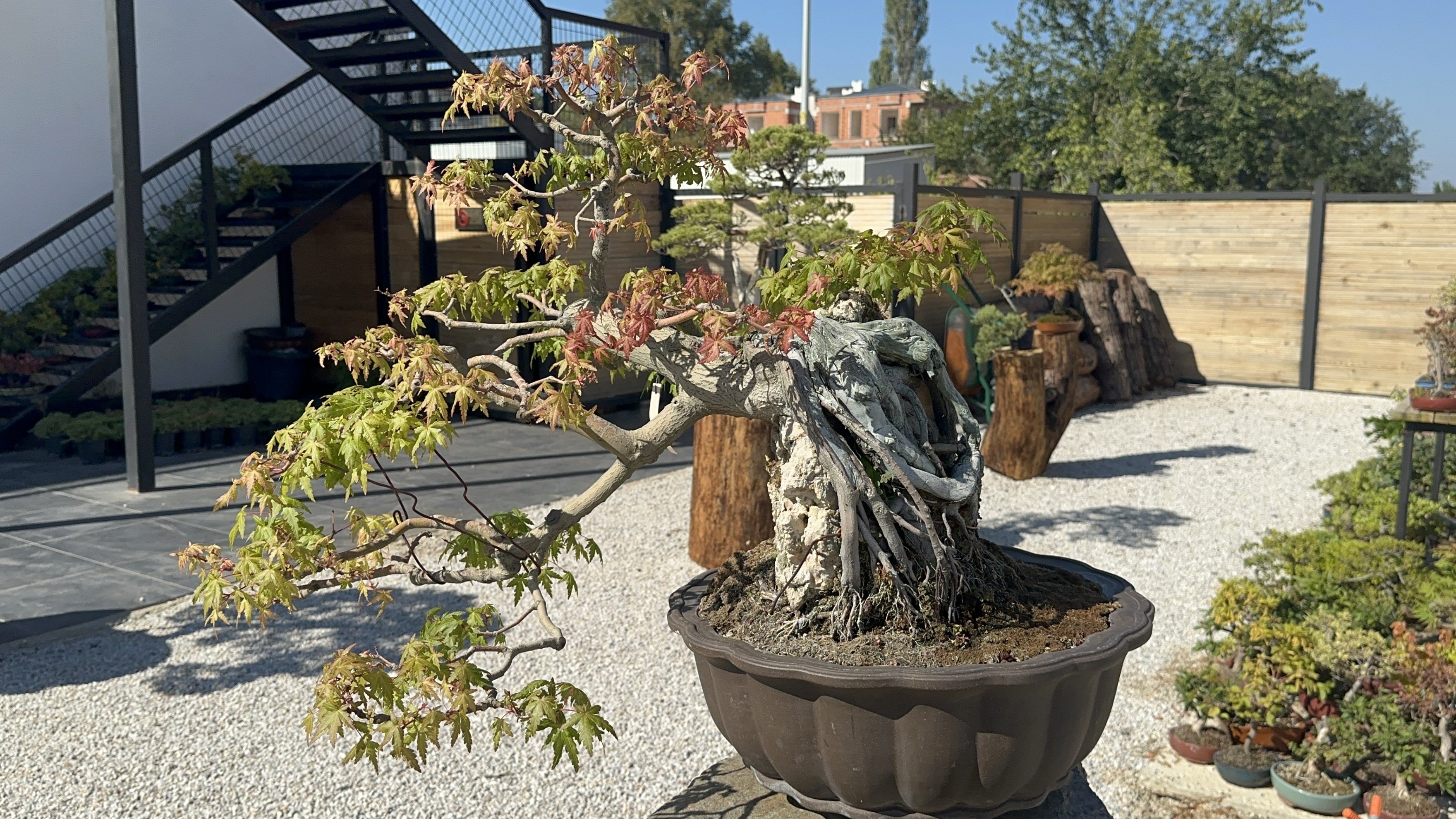 Yalova Bonsai Müzesi